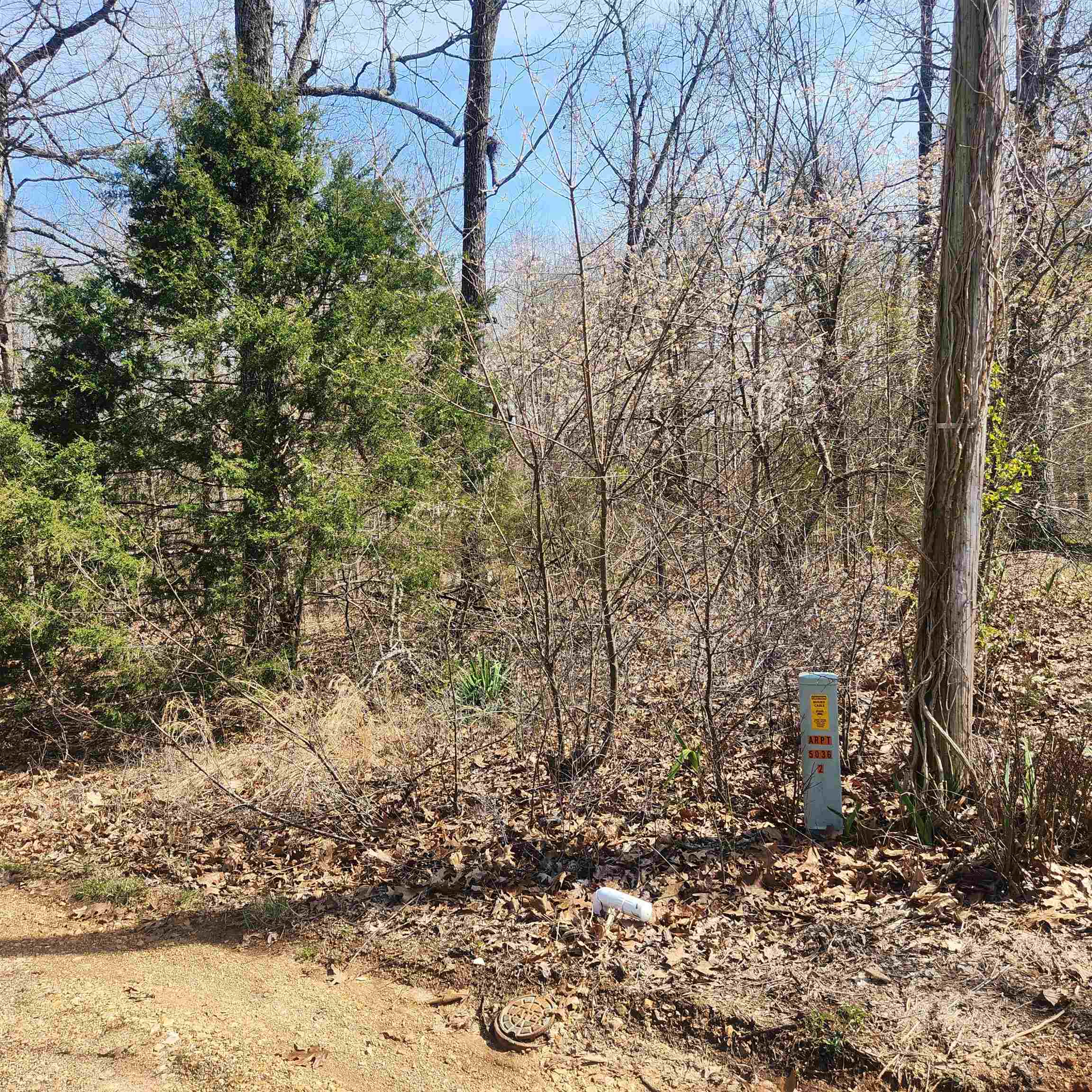 Photo 3 - Vacant Land for sale – L-7, B-29  Miccosukee   Cherokee Village, AR