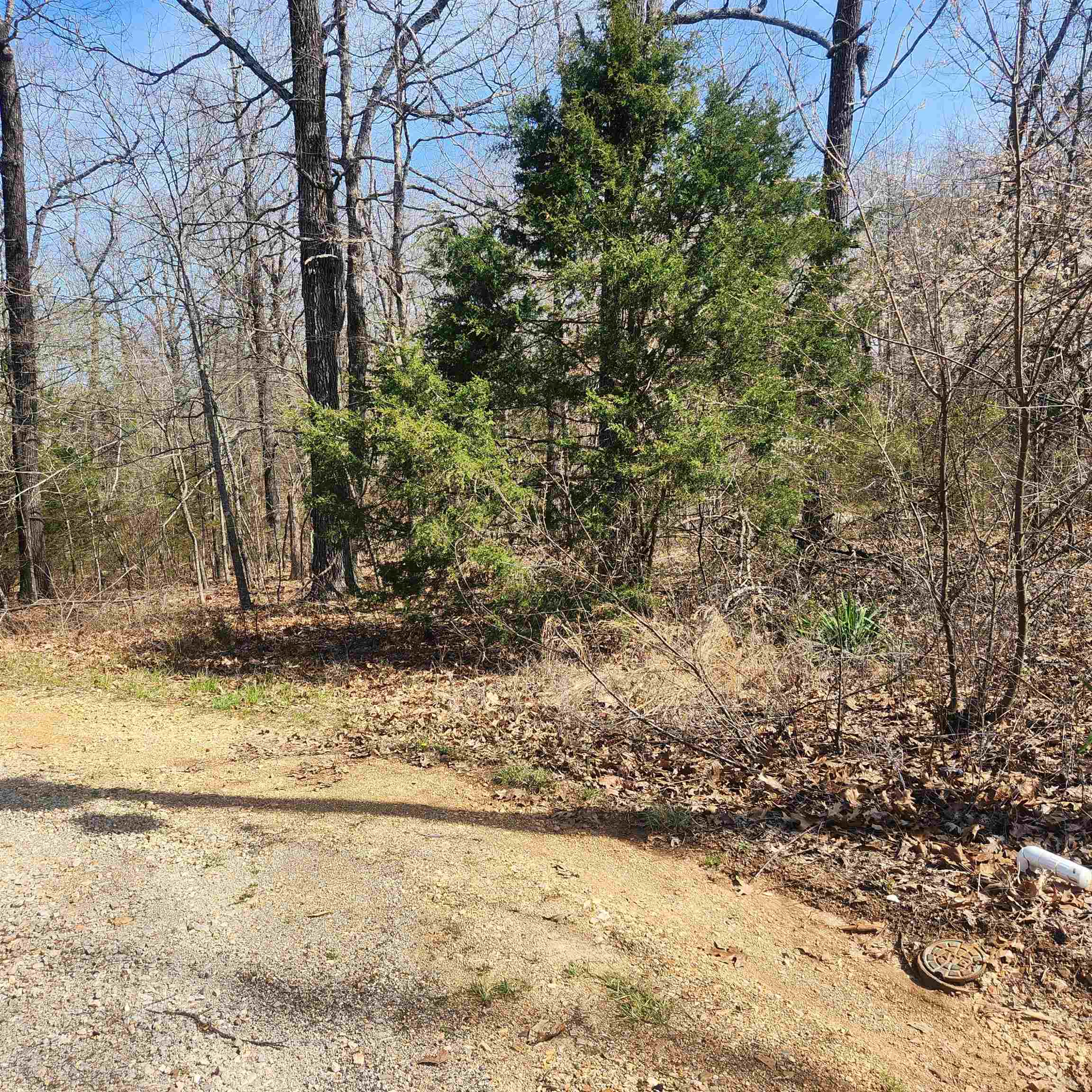 Photo 4 - Vacant Land for sale – L-7, B-29  Miccosukee   Cherokee Village, AR