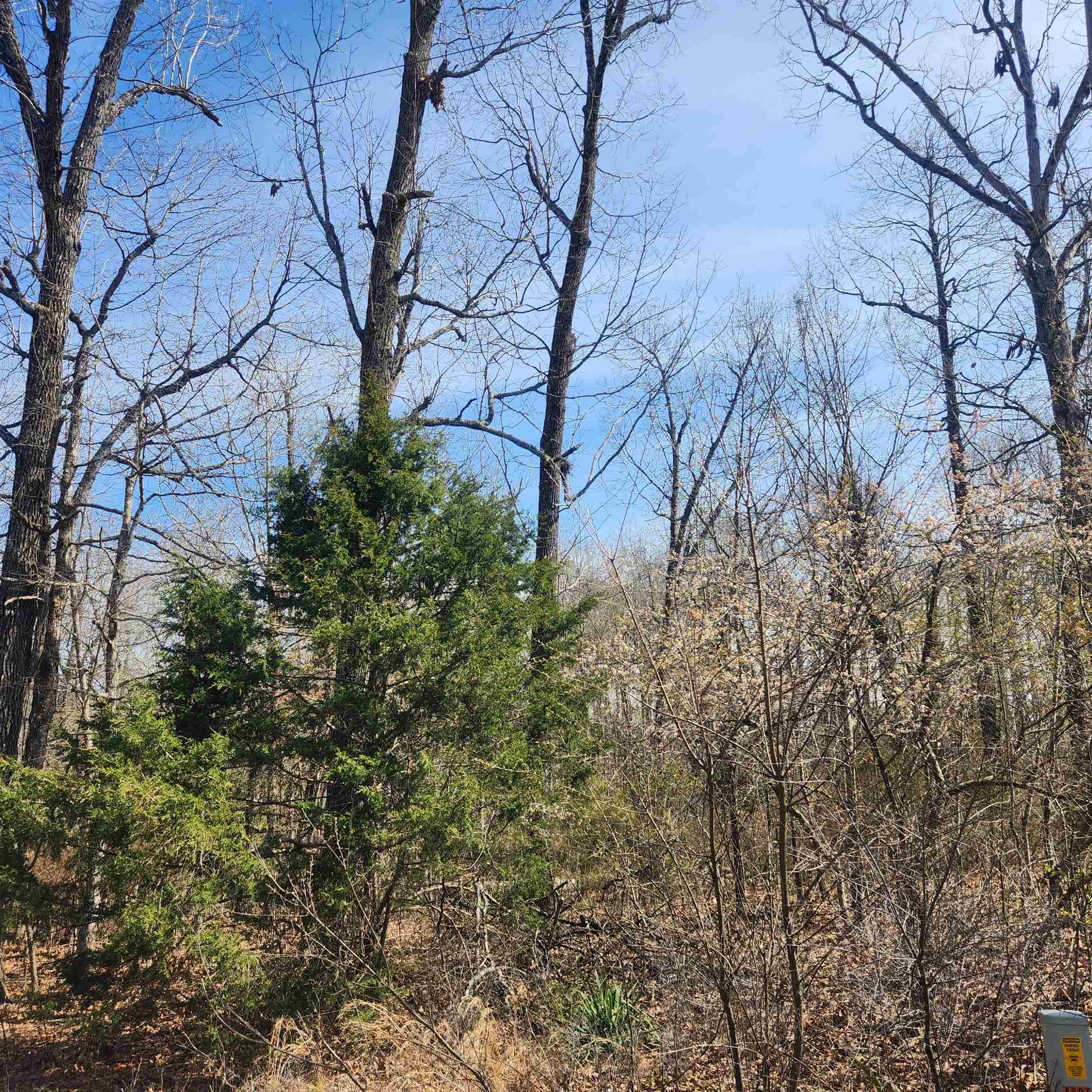 Photo 5 - Vacant Land for sale – L-7, B-29  Miccosukee   Cherokee Village, AR