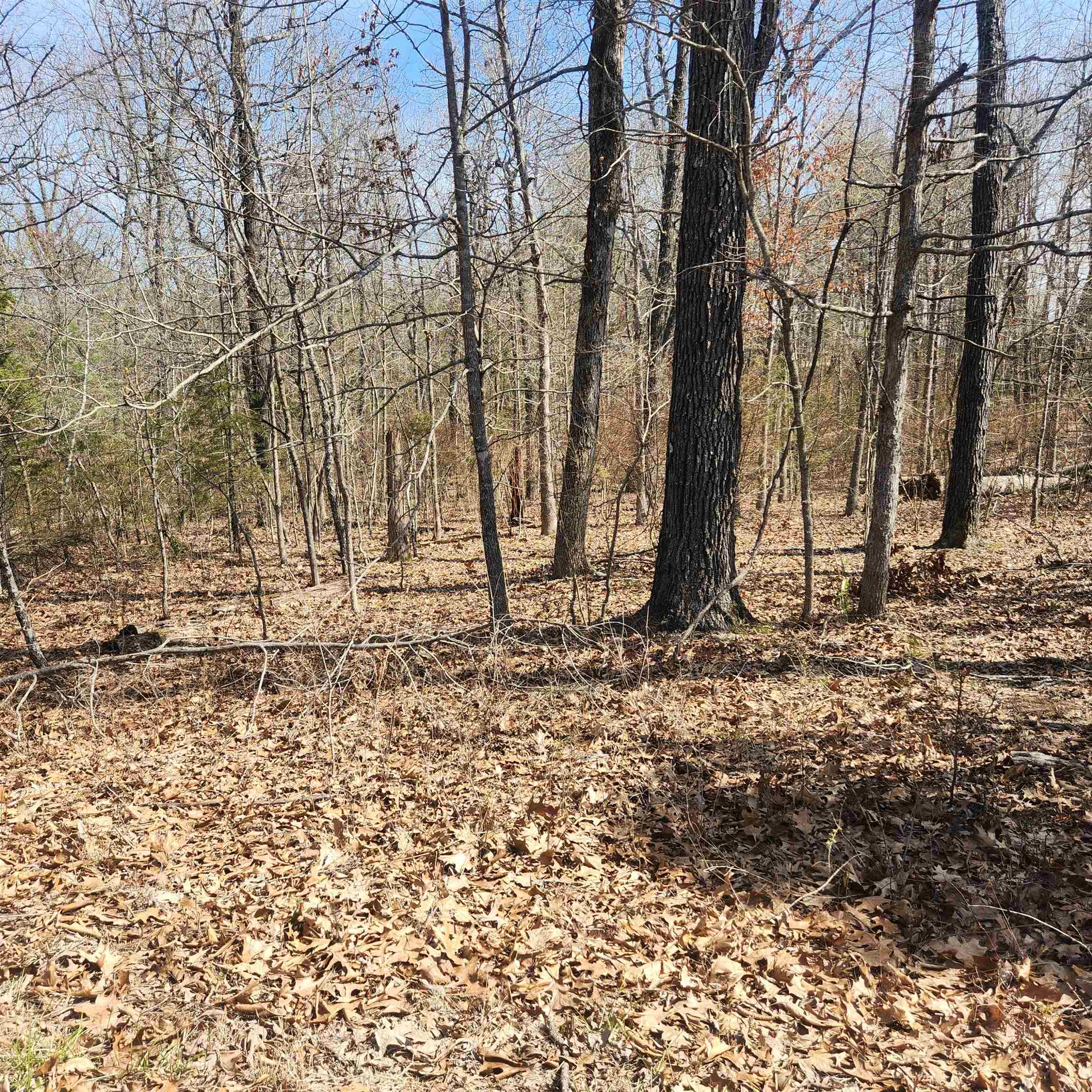 Photo 7 - Vacant Land for sale – L-7, B-29  Miccosukee   Cherokee Village, AR