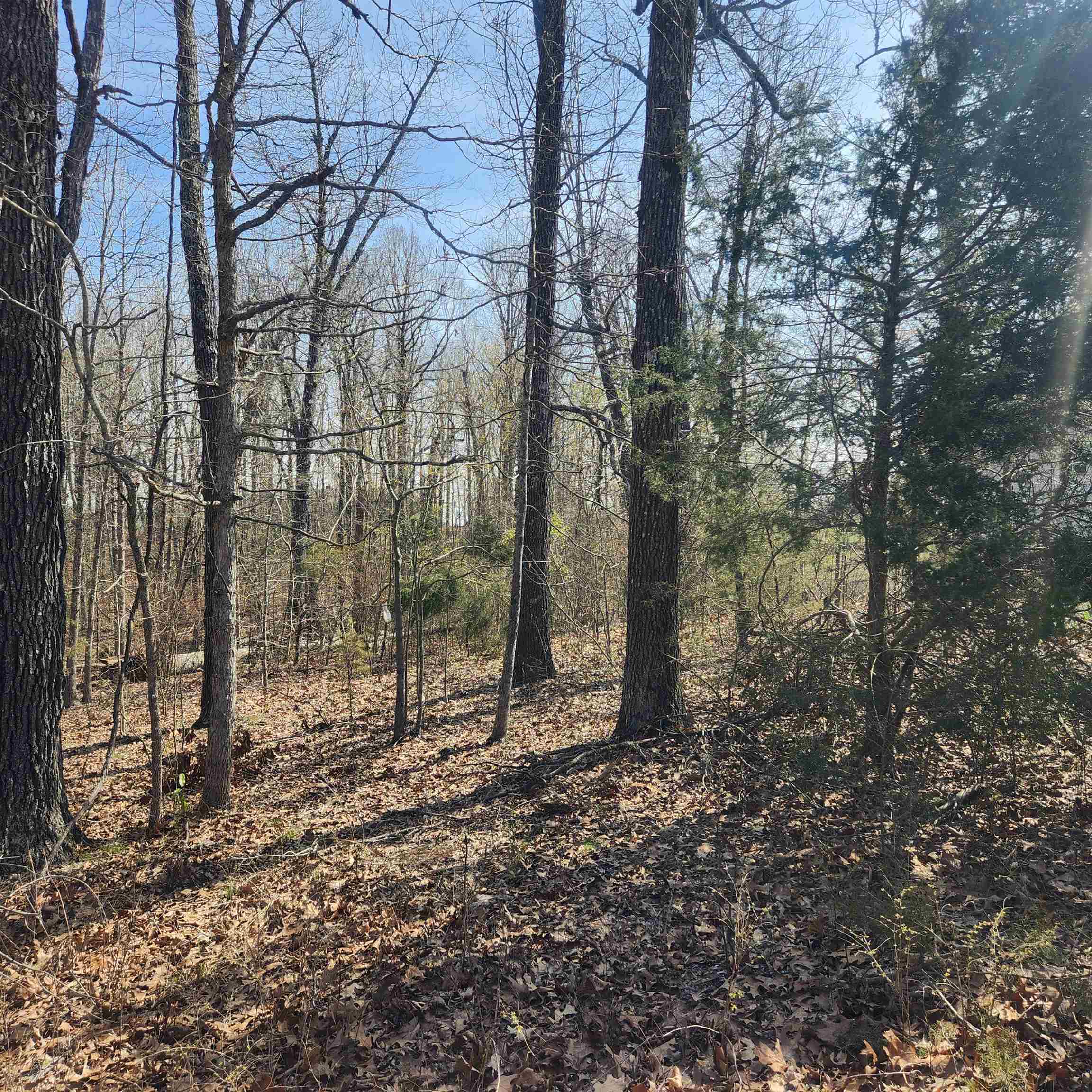 Photo 8 - Vacant Land for sale – L-7, B-29  Miccosukee   Cherokee Village, AR