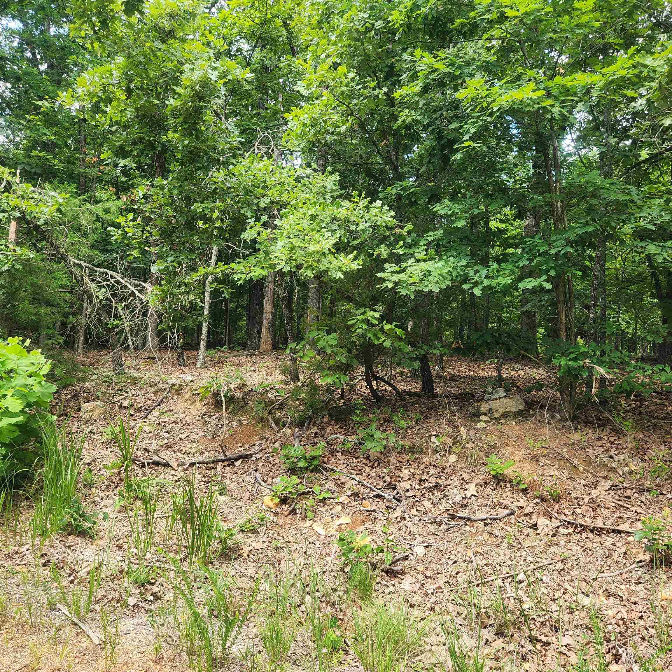 Vacant Land for sale – L-60, B-6  Anadarko   Cherokee Village, AR