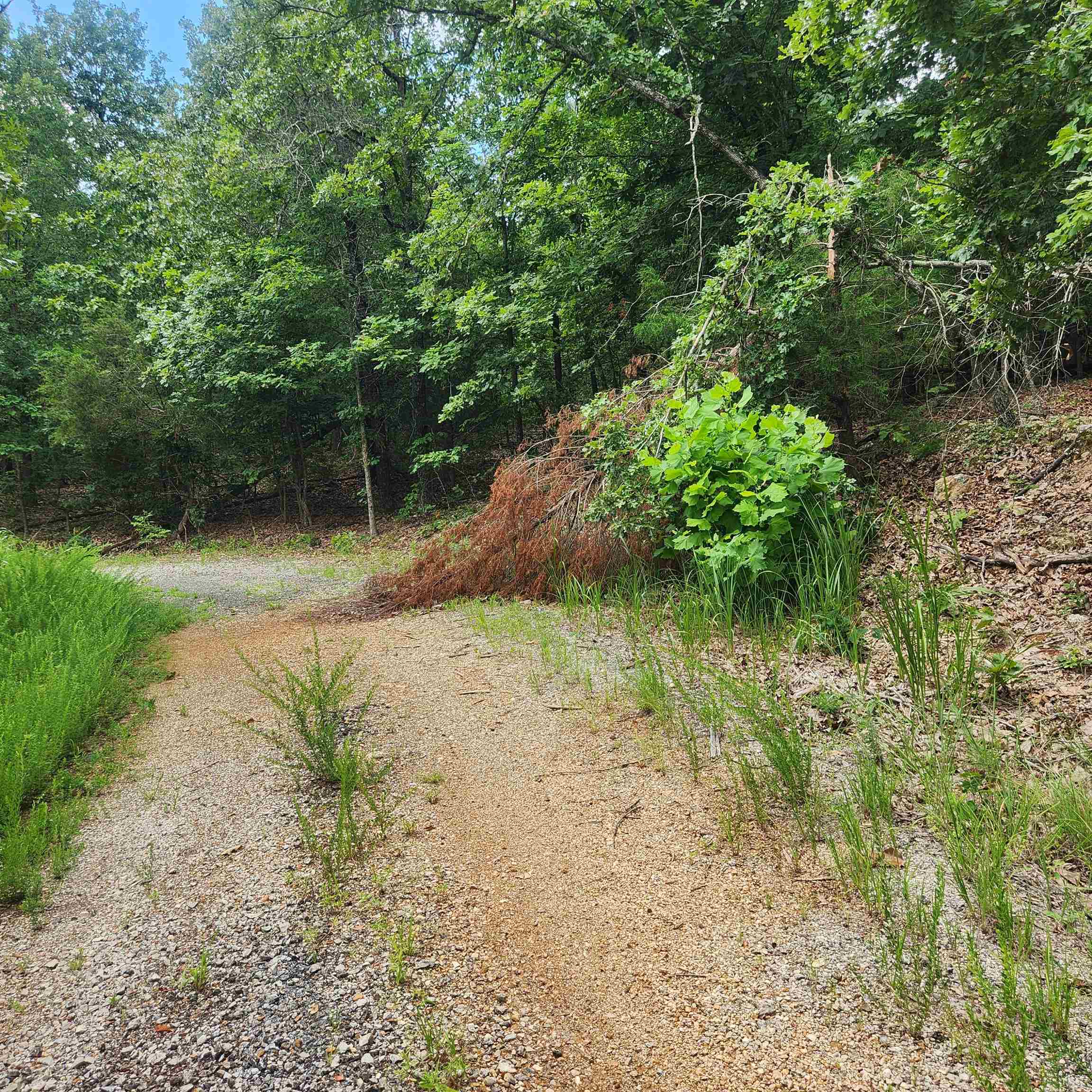 Photo 2 - Vacant Land for sale – L-60, B-6  Anadarko   Cherokee Village, AR
