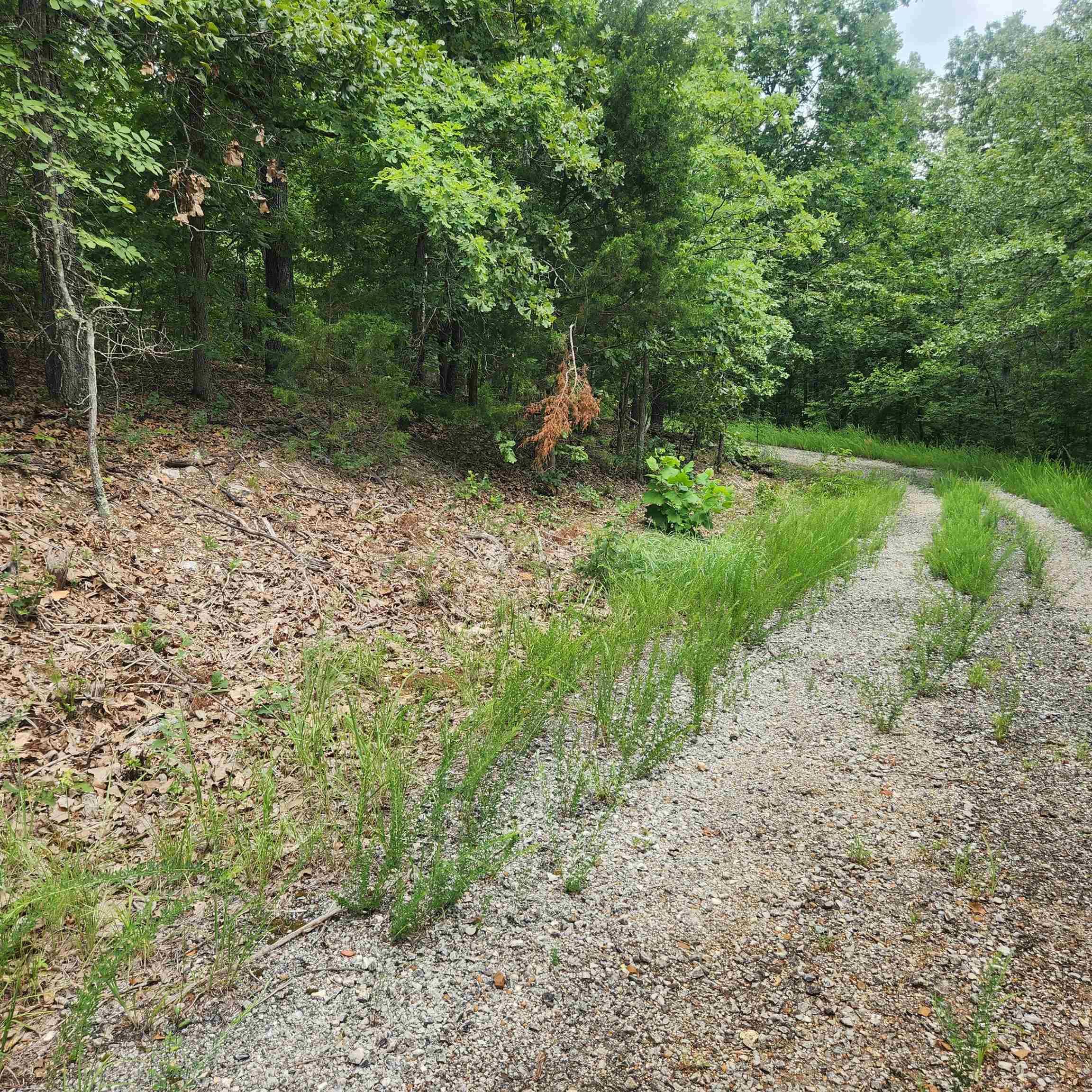 Photo 3 - Vacant Land for sale – L-60, B-6  Anadarko   Cherokee Village, AR