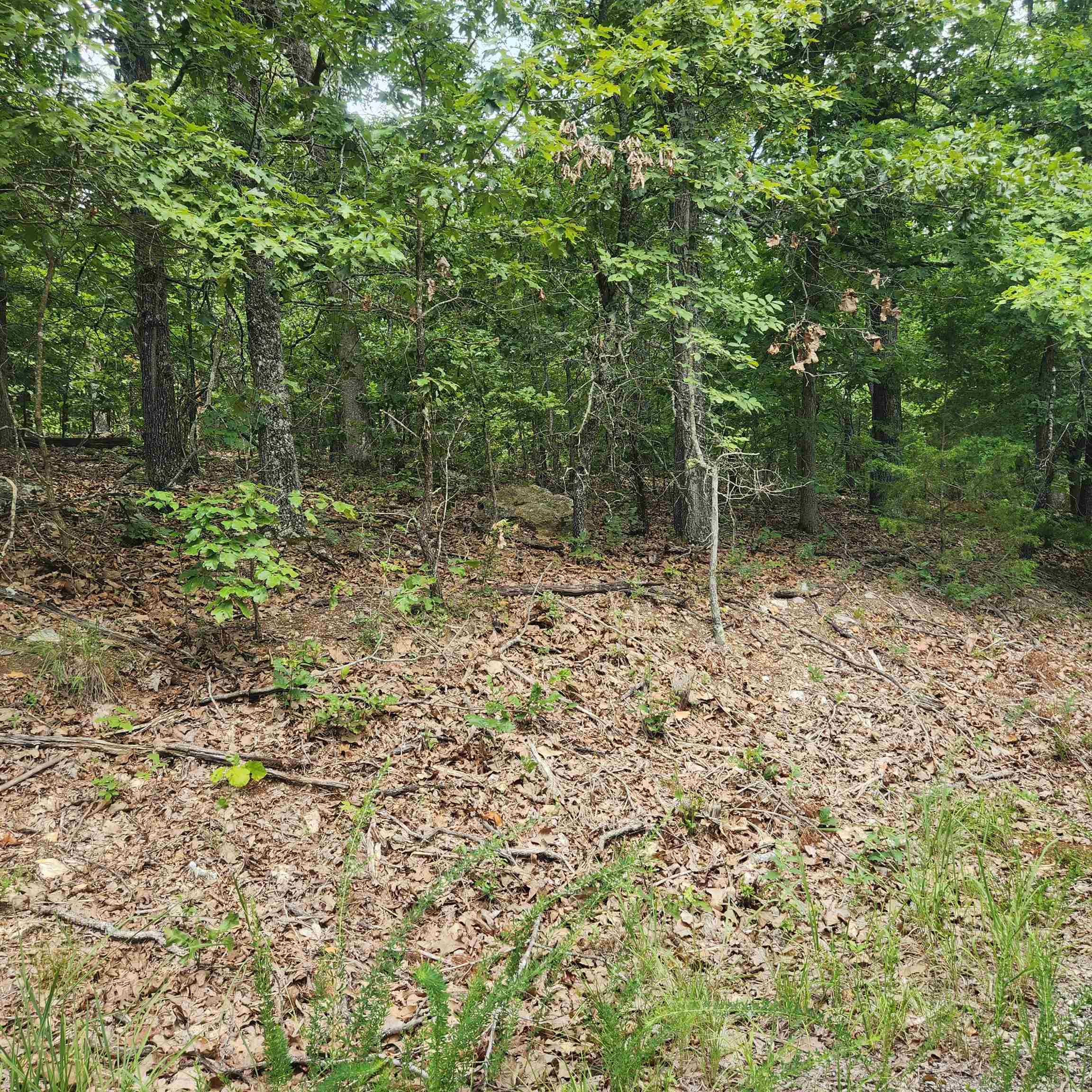 Photo 4 - Vacant Land for sale – L-60, B-6  Anadarko   Cherokee Village, AR