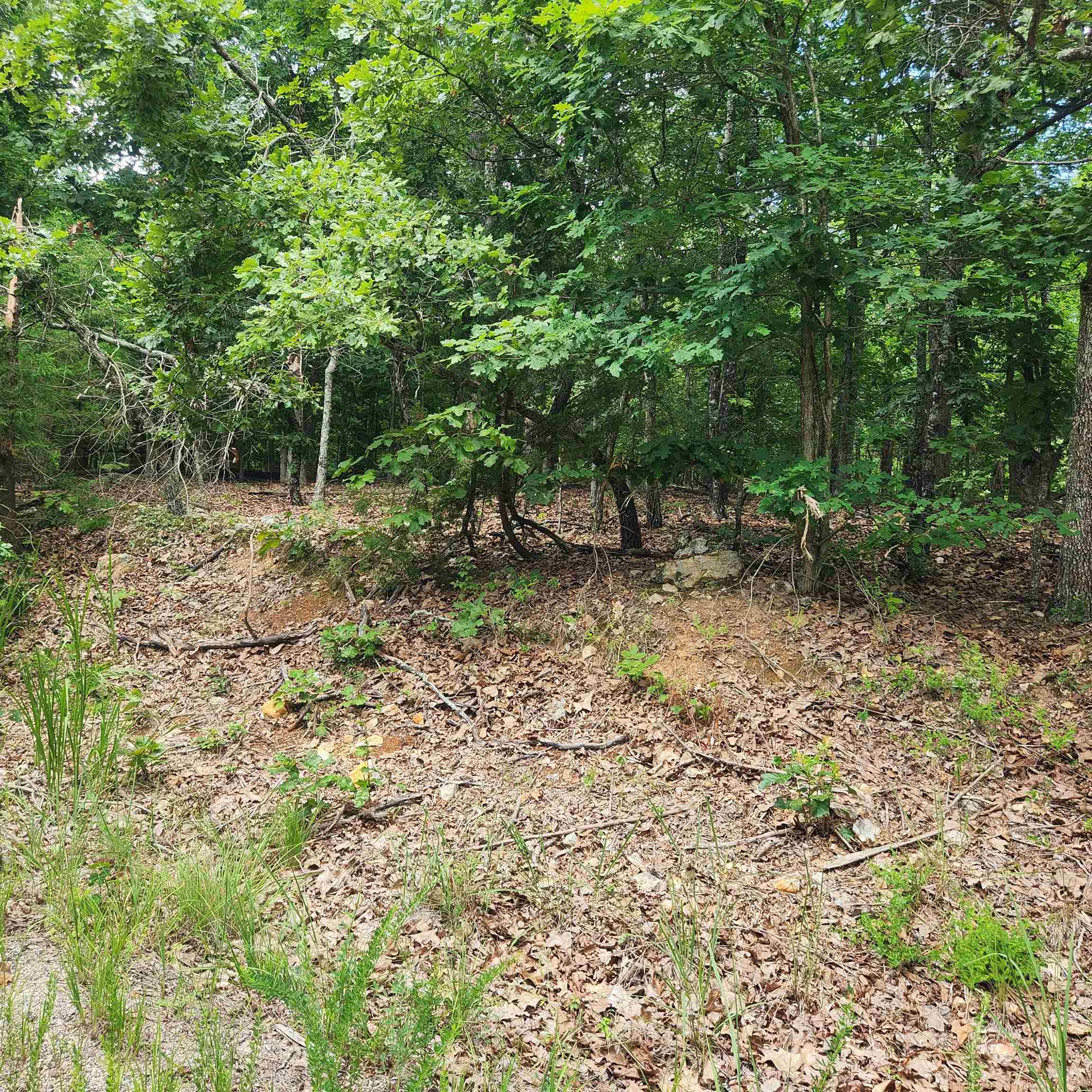 Photo 5 - Vacant Land for sale – L-60, B-6  Anadarko   Cherokee Village, AR