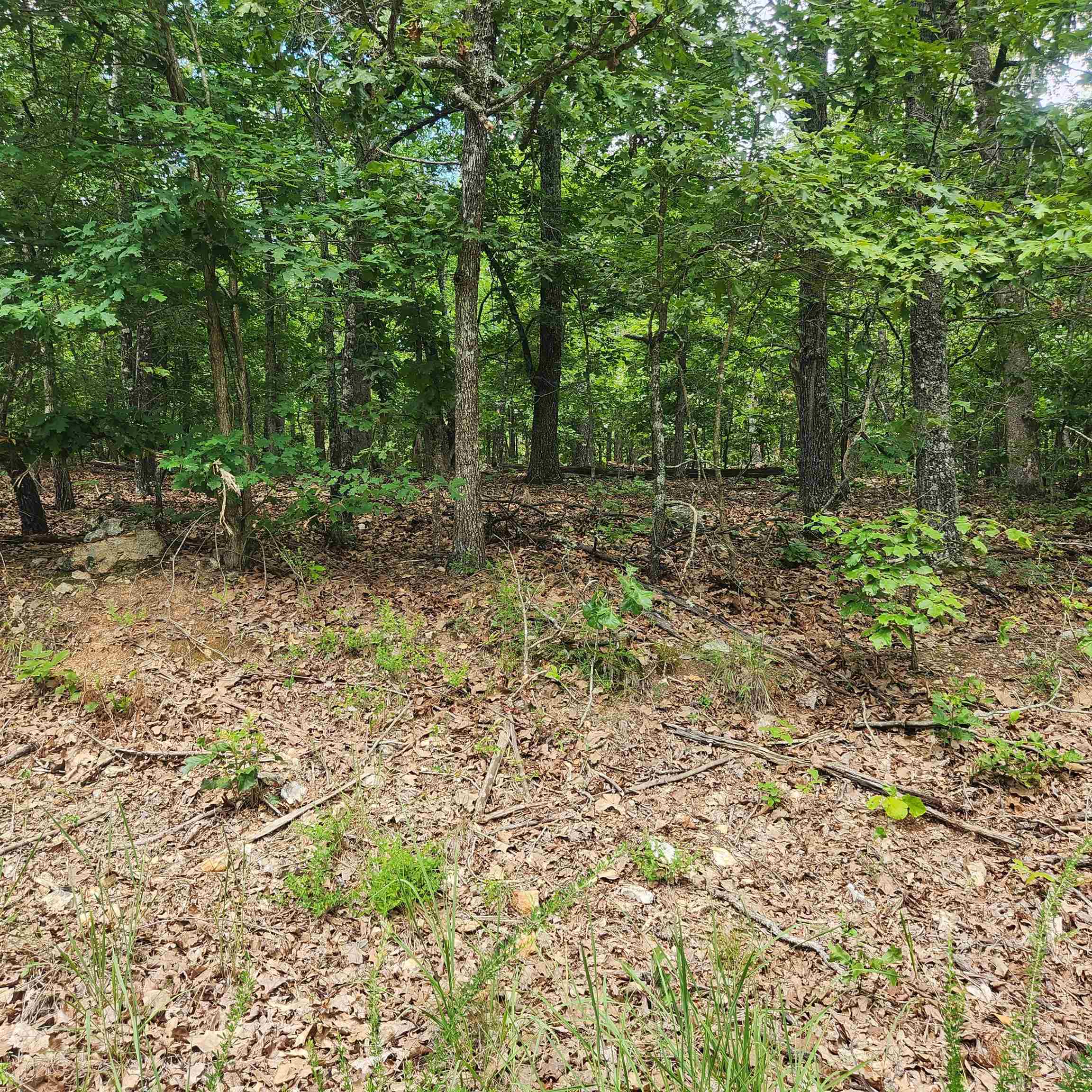 Photo 6 - Vacant Land for sale – L-60, B-6  Anadarko   Cherokee Village, AR
