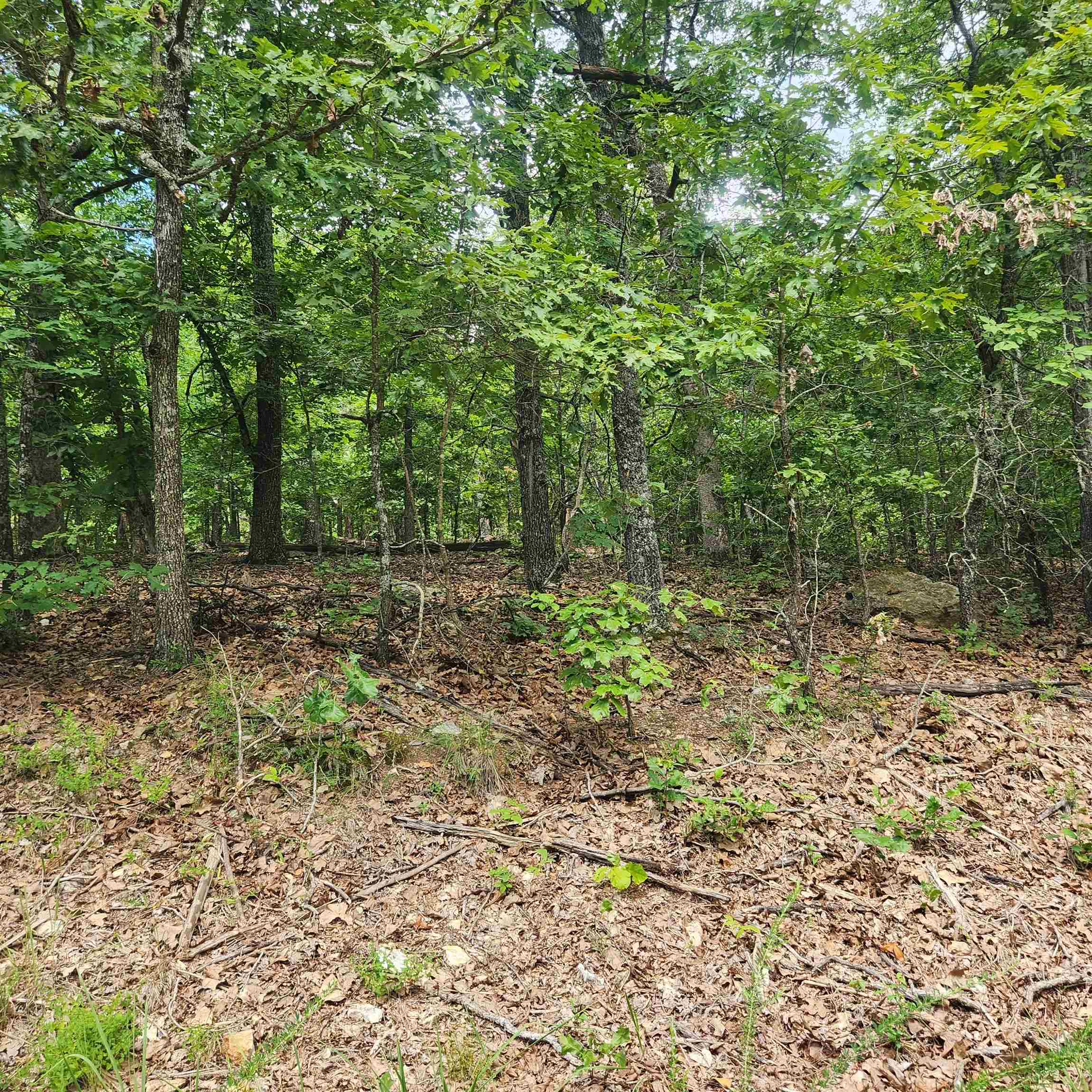 Photo 7 - Vacant Land for sale – L-60, B-6  Anadarko   Cherokee Village, AR