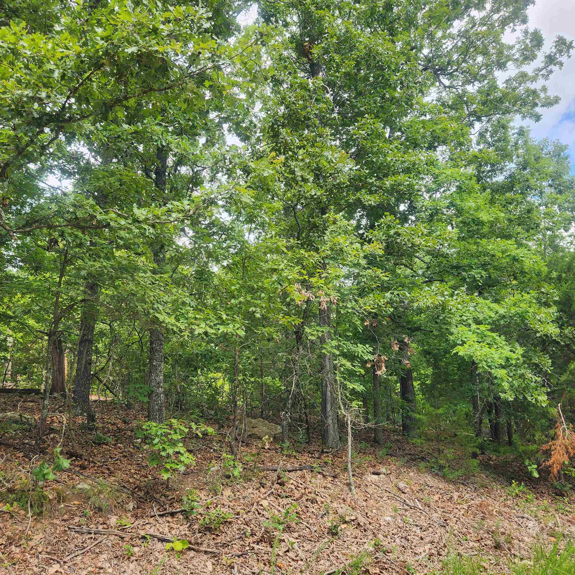 Photo 9 - Vacant Land for sale – L-60, B-6  Anadarko   Cherokee Village, AR