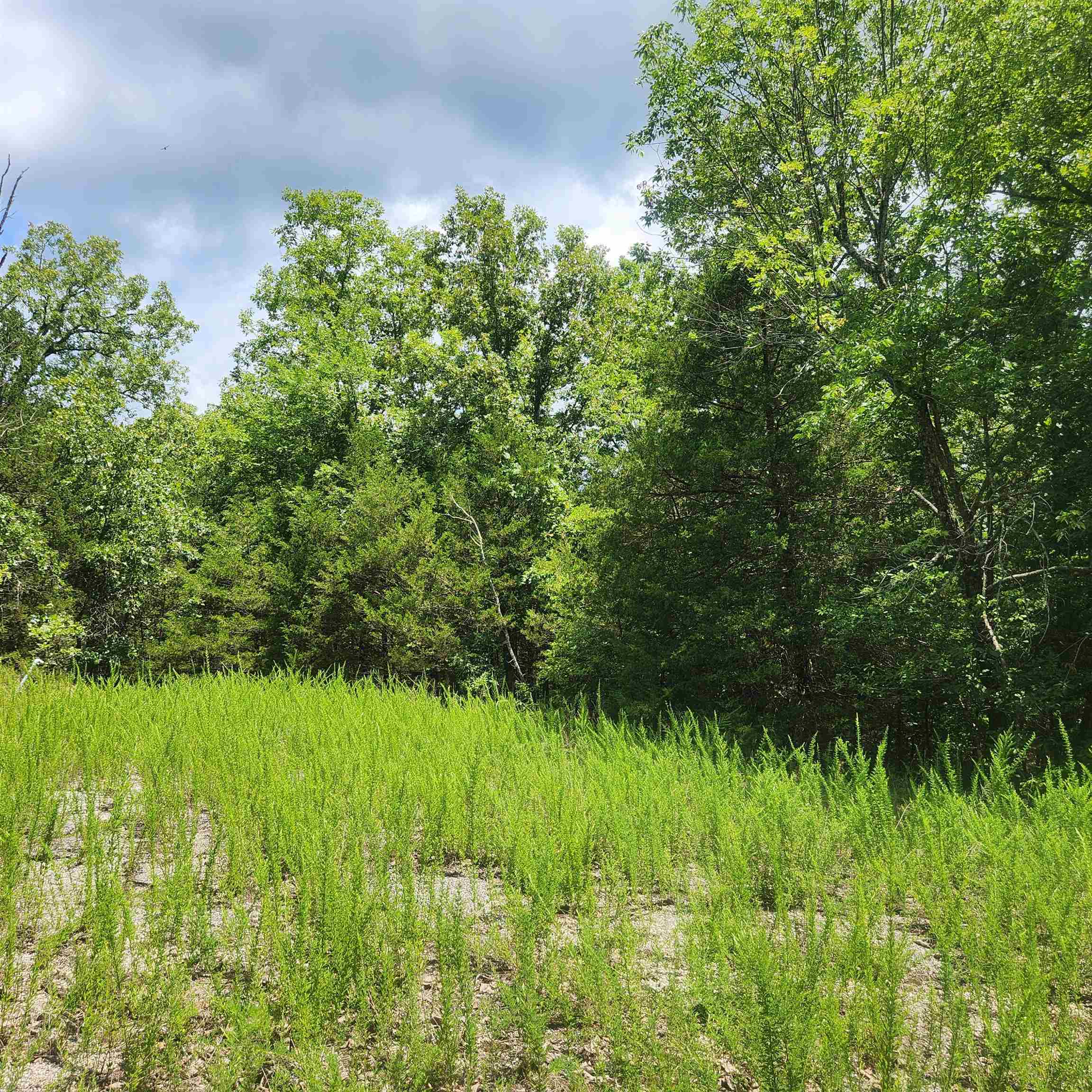 Vacant Land for sale – L-83, B-4  Hernando   Cherokee Village, AR