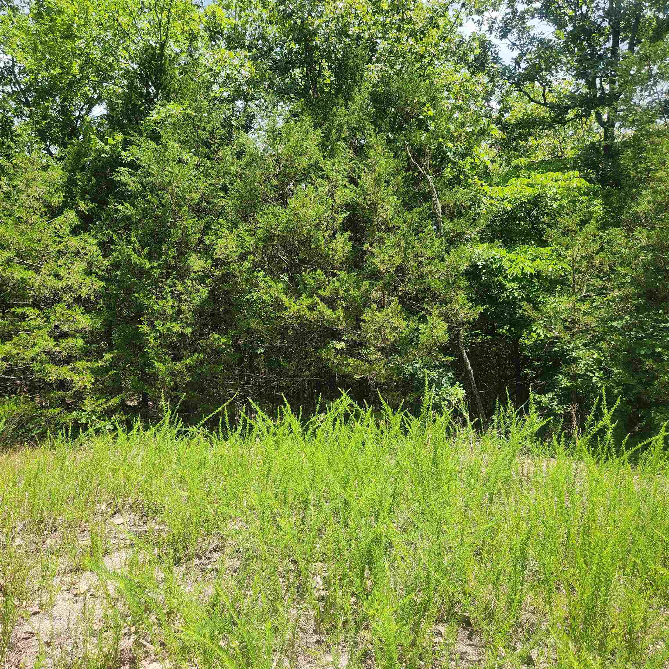 Photo 2 - Vacant Land for sale – L-83, B-4  Hernando   Cherokee Village, AR