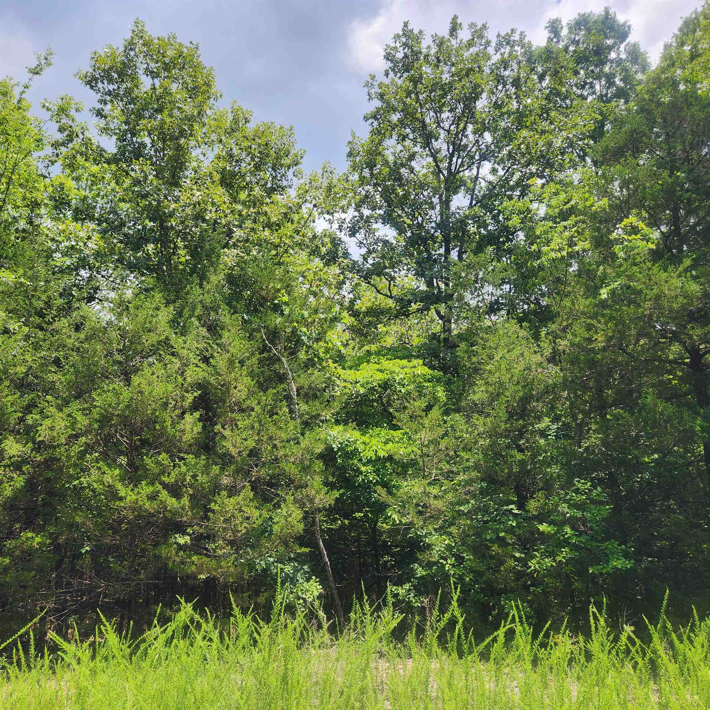 Photo 4 - Vacant Land for sale – L-83, B-4  Hernando   Cherokee Village, AR