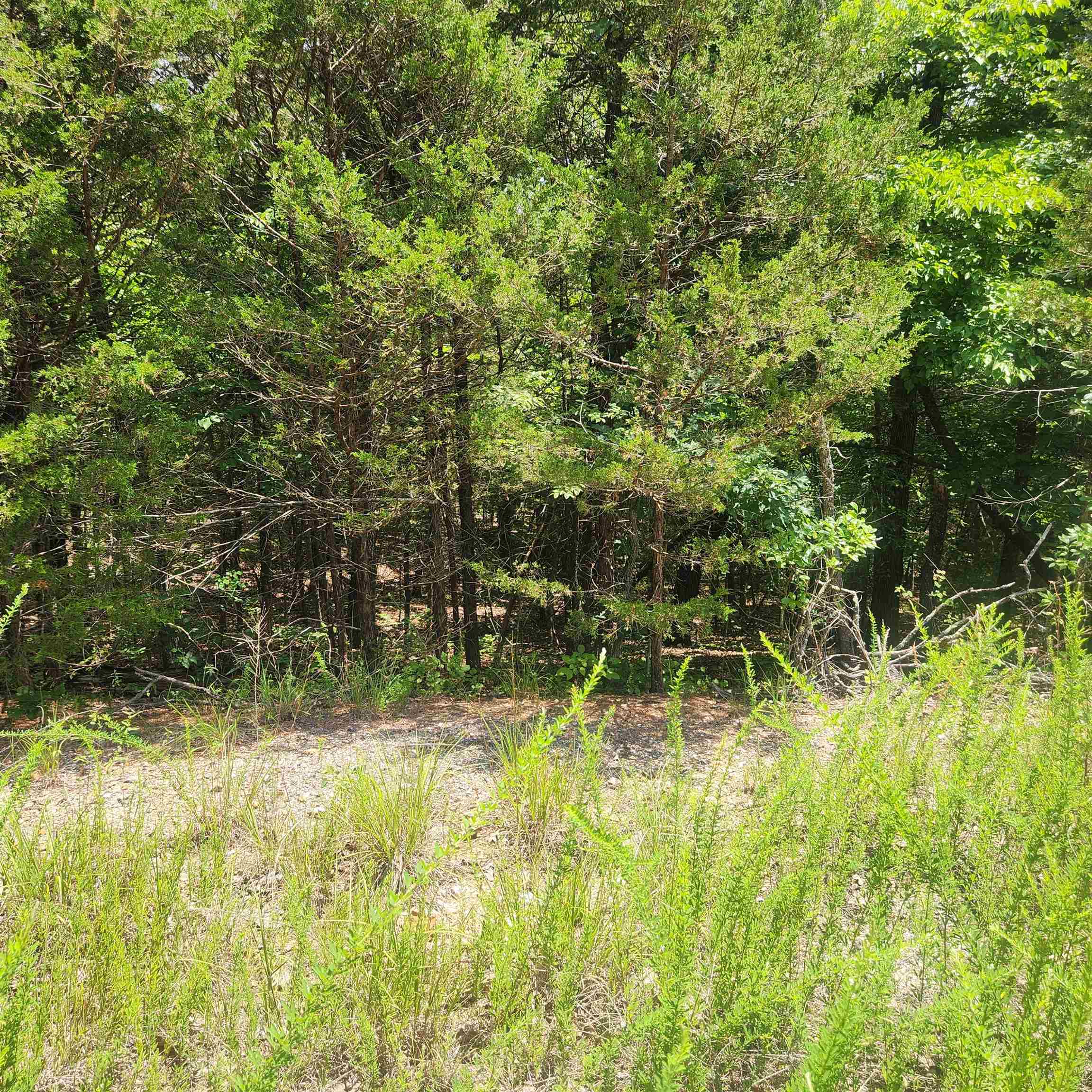 Photo 5 - Vacant Land for sale – L-83, B-4  Hernando   Cherokee Village, AR