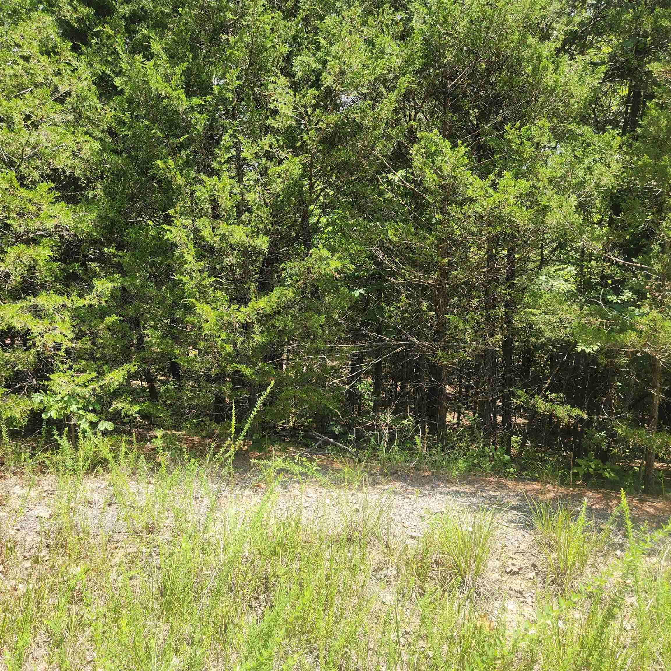 Photo 6 - Vacant Land for sale – L-83, B-4  Hernando   Cherokee Village, AR