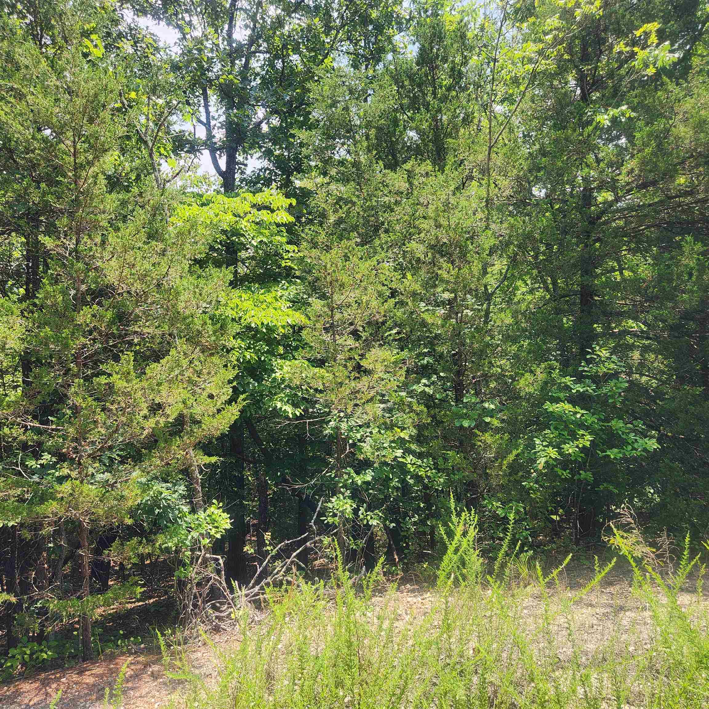 Photo 7 - Vacant Land for sale – L-83, B-4  Hernando   Cherokee Village, AR