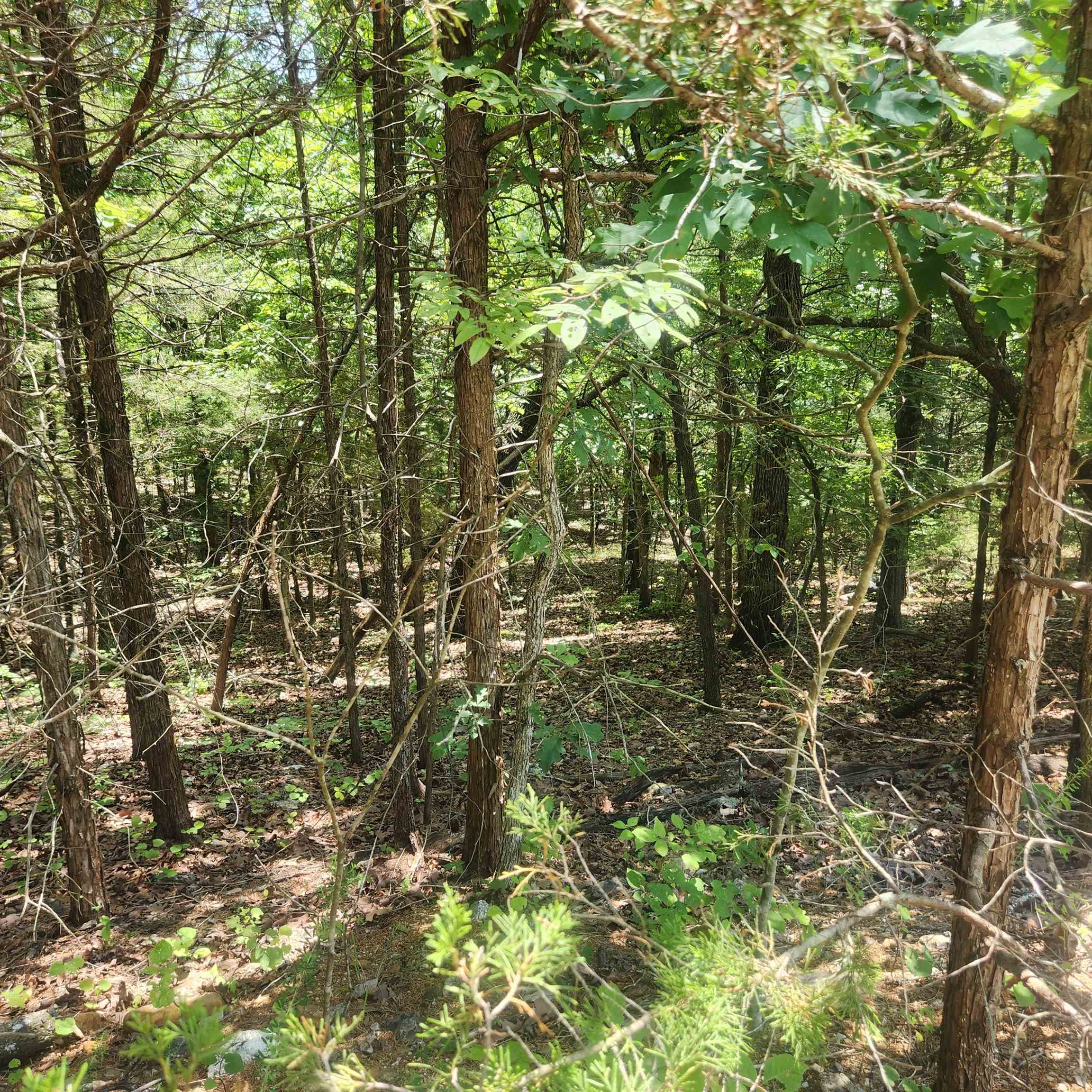 Photo 8 - Vacant Land for sale – L-83, B-4  Hernando   Cherokee Village, AR