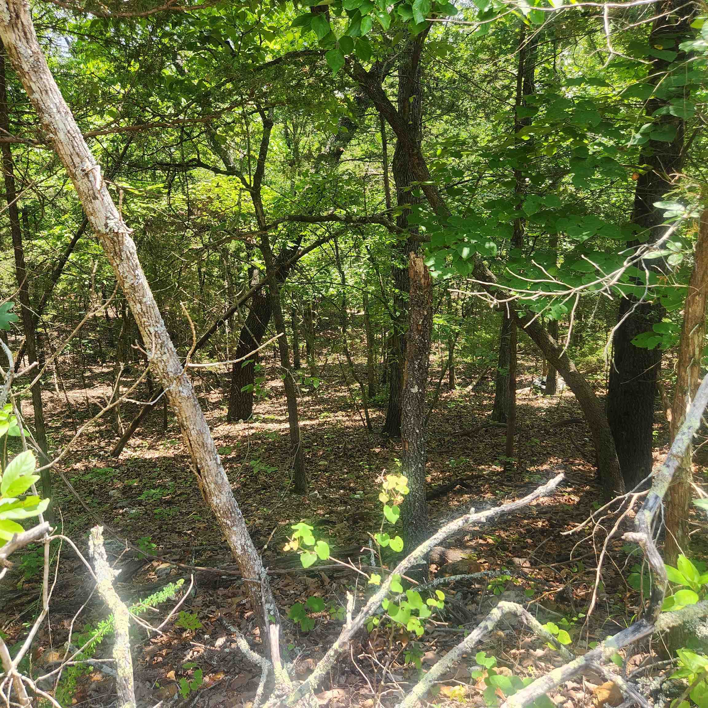 Photo 9 - Vacant Land for sale – L-83, B-4  Hernando   Cherokee Village, AR