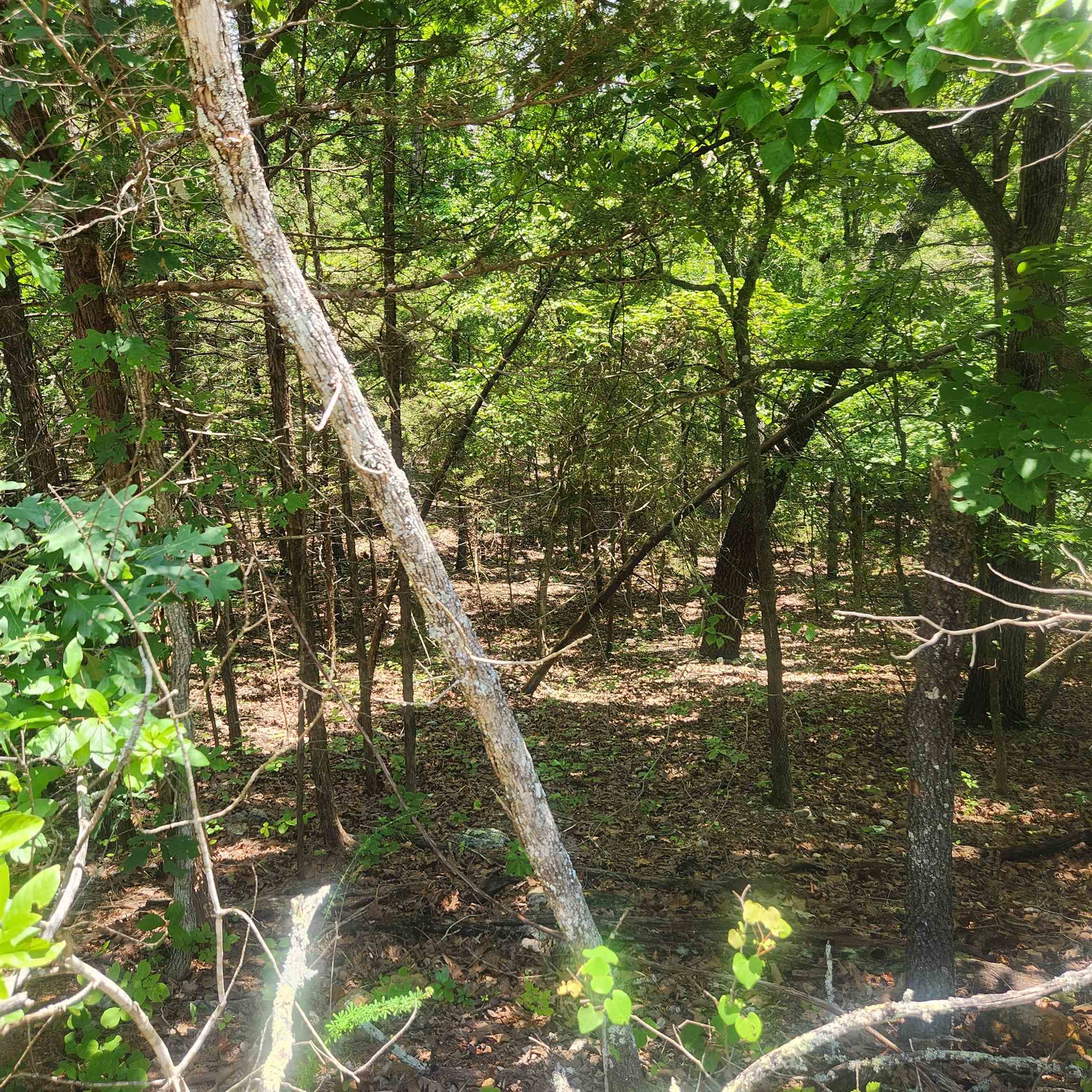 Photo 10 - Vacant Land for sale – L-83, B-4  Hernando   Cherokee Village, AR
