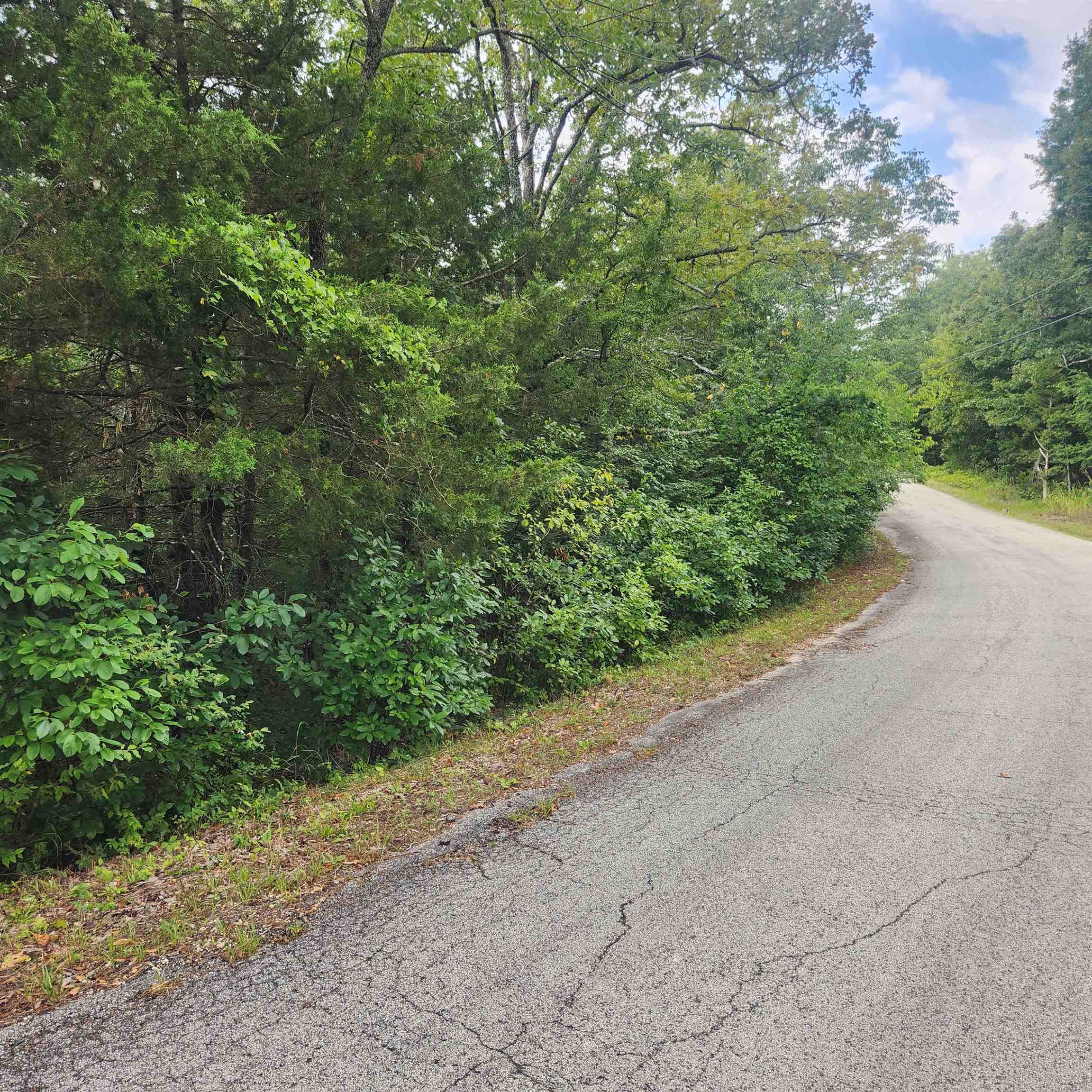 Photo 2 - Vacant Land for sale – L-22, B-4  Topez   Cherokee Village, AR