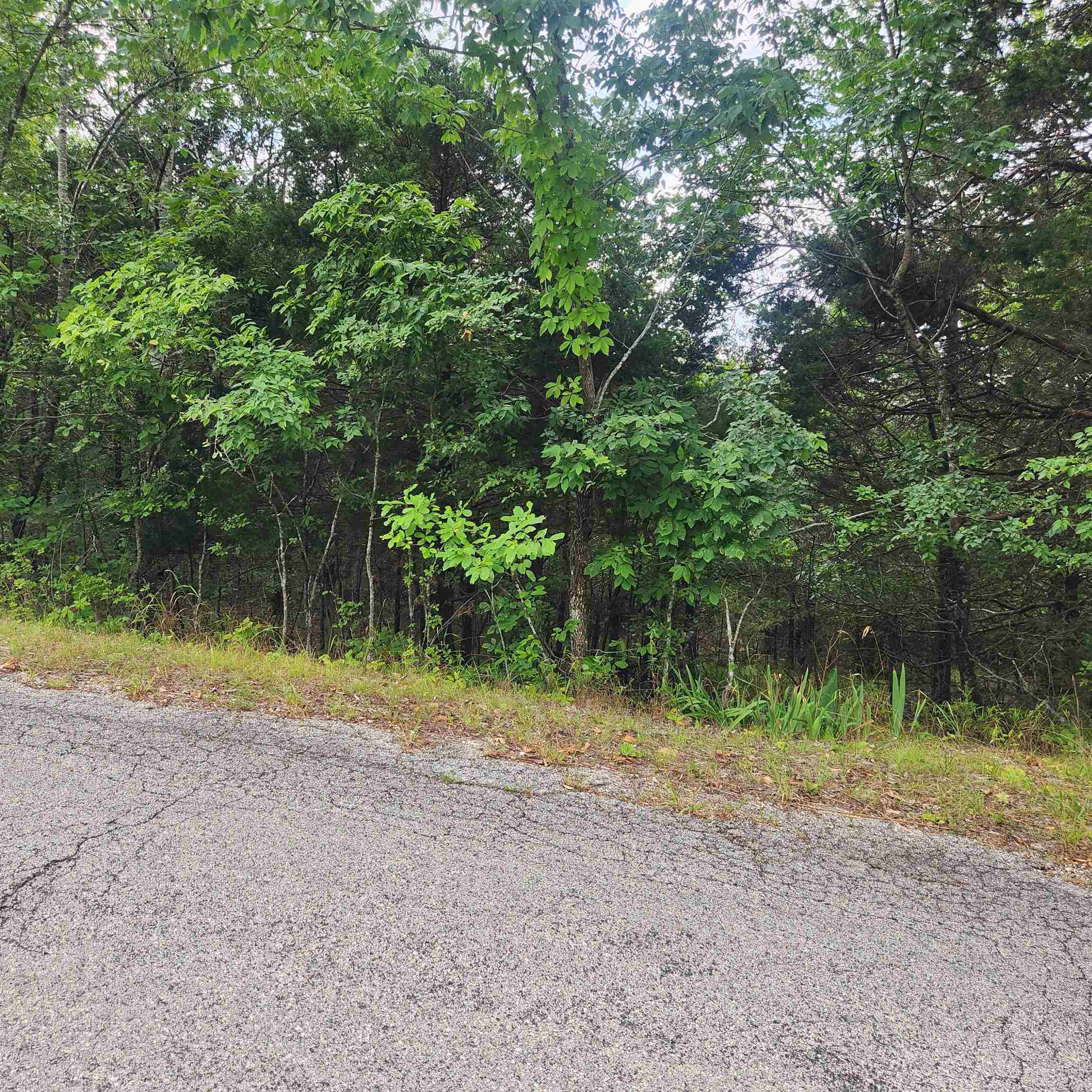 Photo 11 - Vacant Land for sale – L-22, B-4  Topez   Cherokee Village, AR