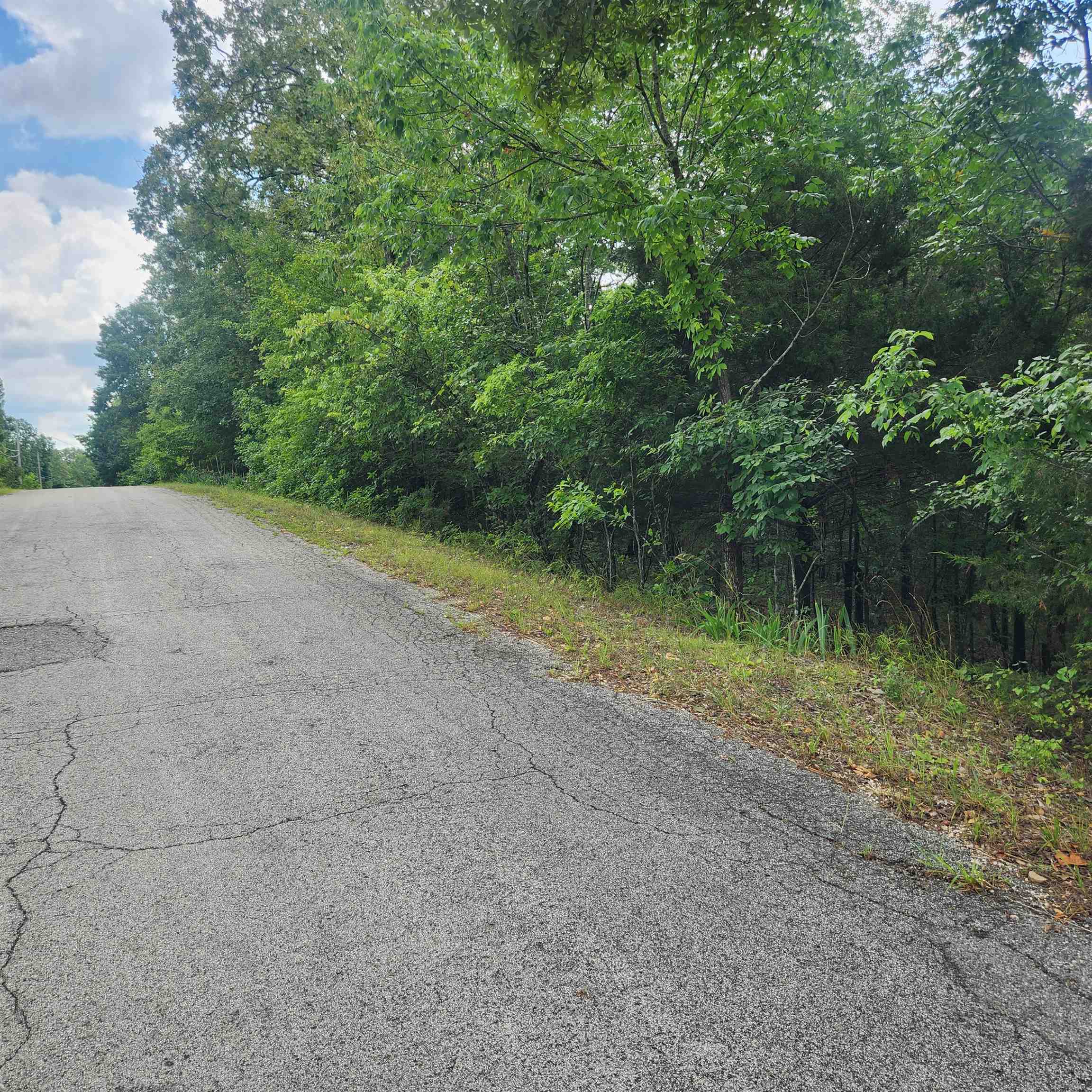 Photo 3 - Vacant Land for sale – L-22, B-4  Topez   Cherokee Village, AR