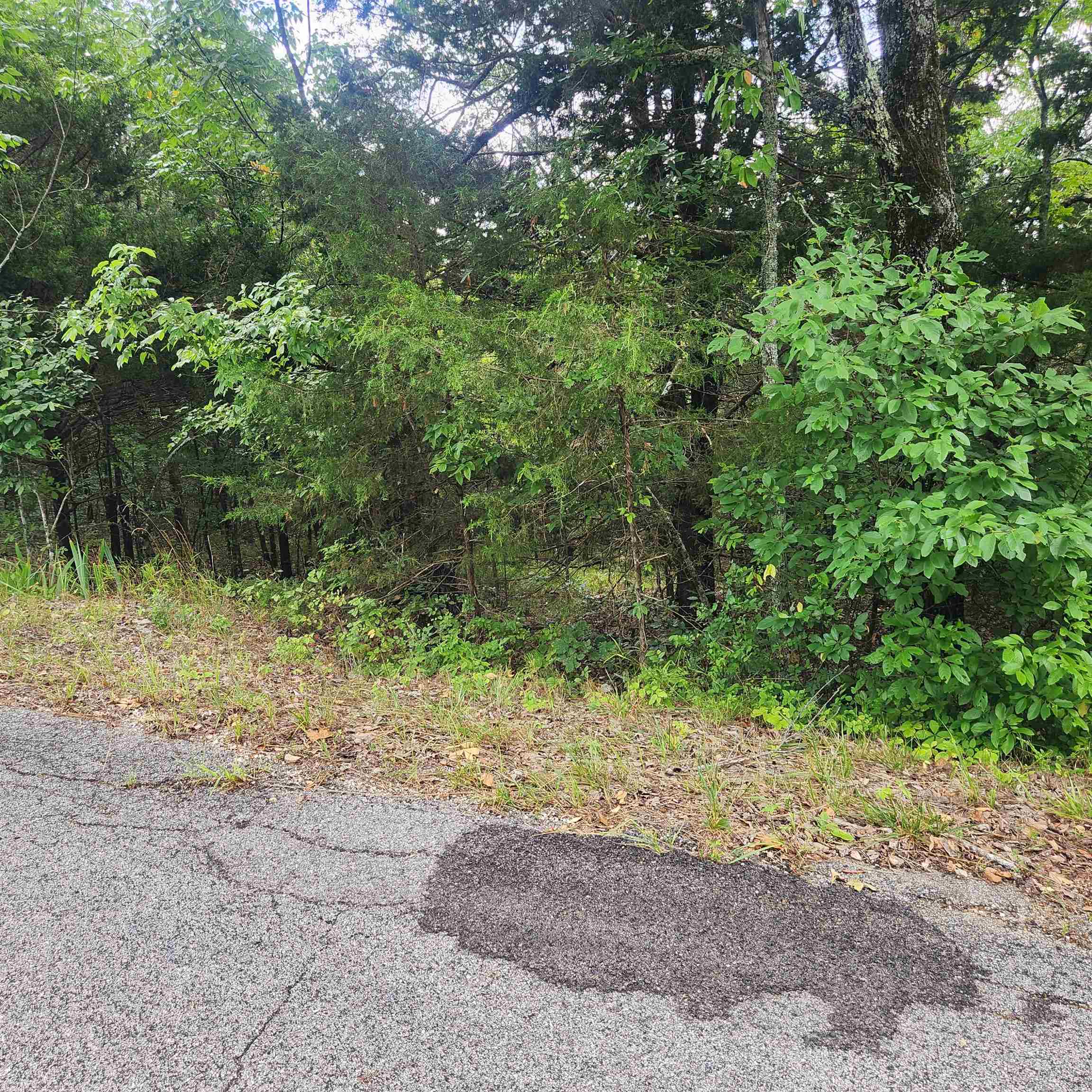 Photo 4 - Vacant Land for sale – L-22, B-4  Topez   Cherokee Village, AR