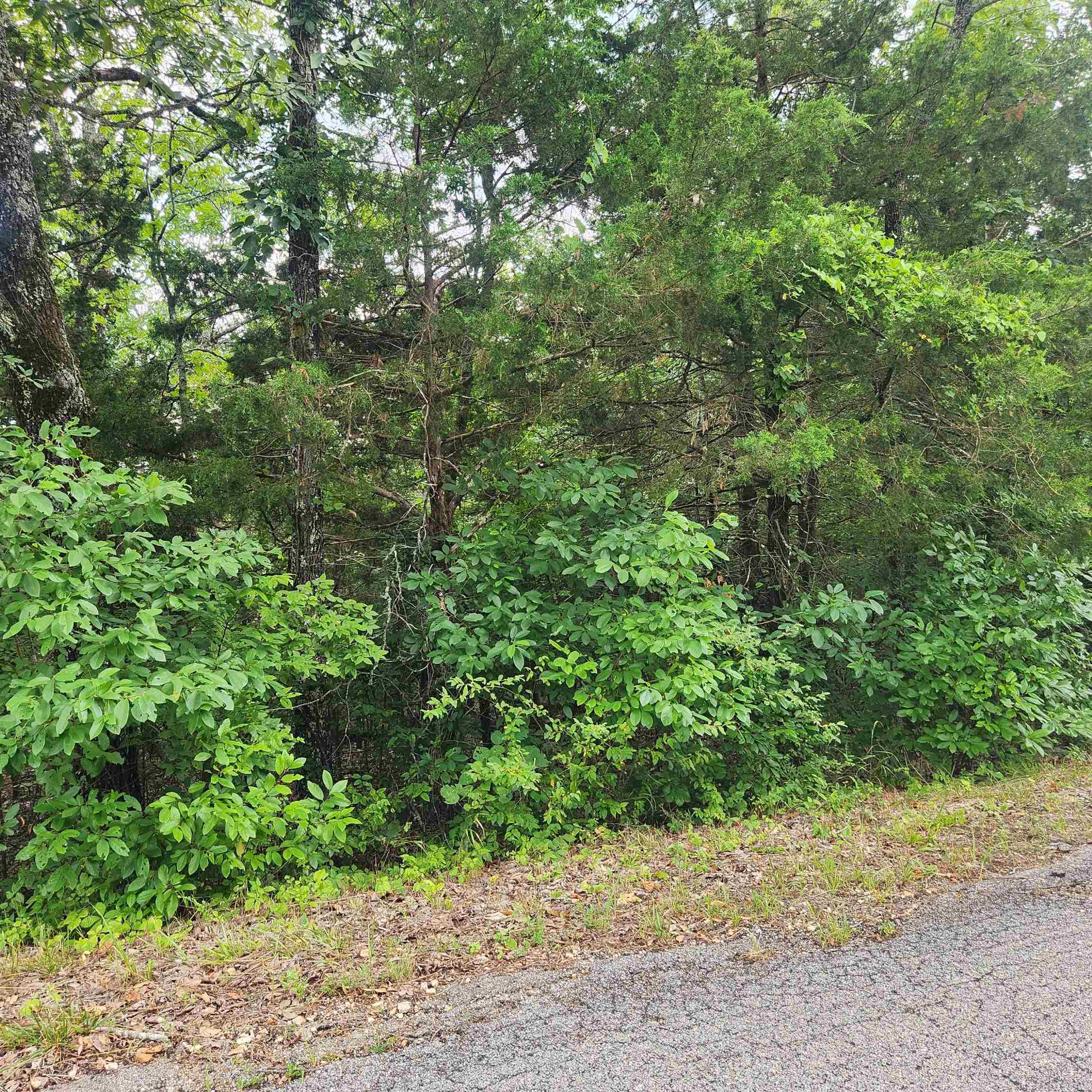 Photo 5 - Vacant Land for sale – L-22, B-4  Topez   Cherokee Village, AR