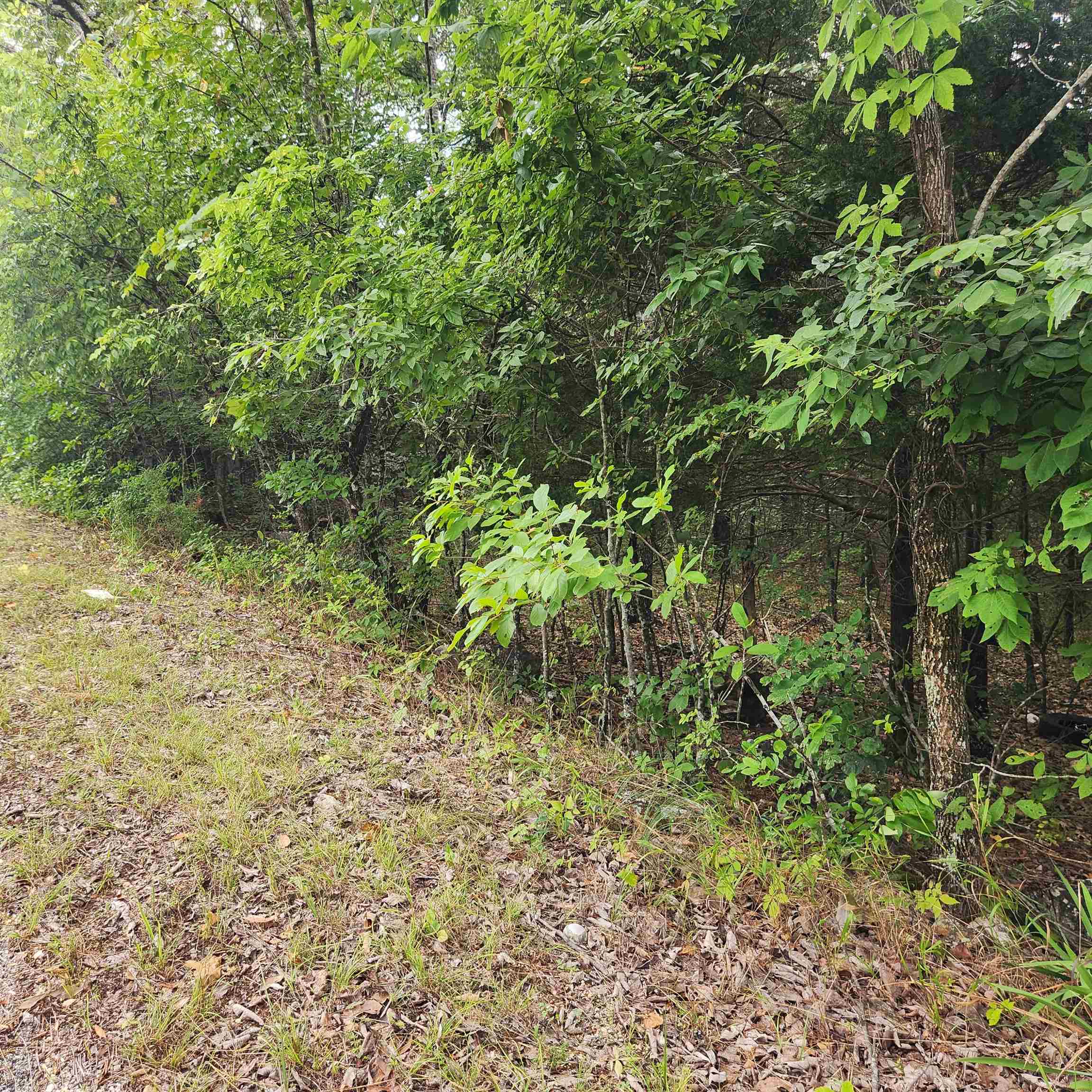 Photo 8 - Vacant Land for sale – L-22, B-4  Topez   Cherokee Village, AR