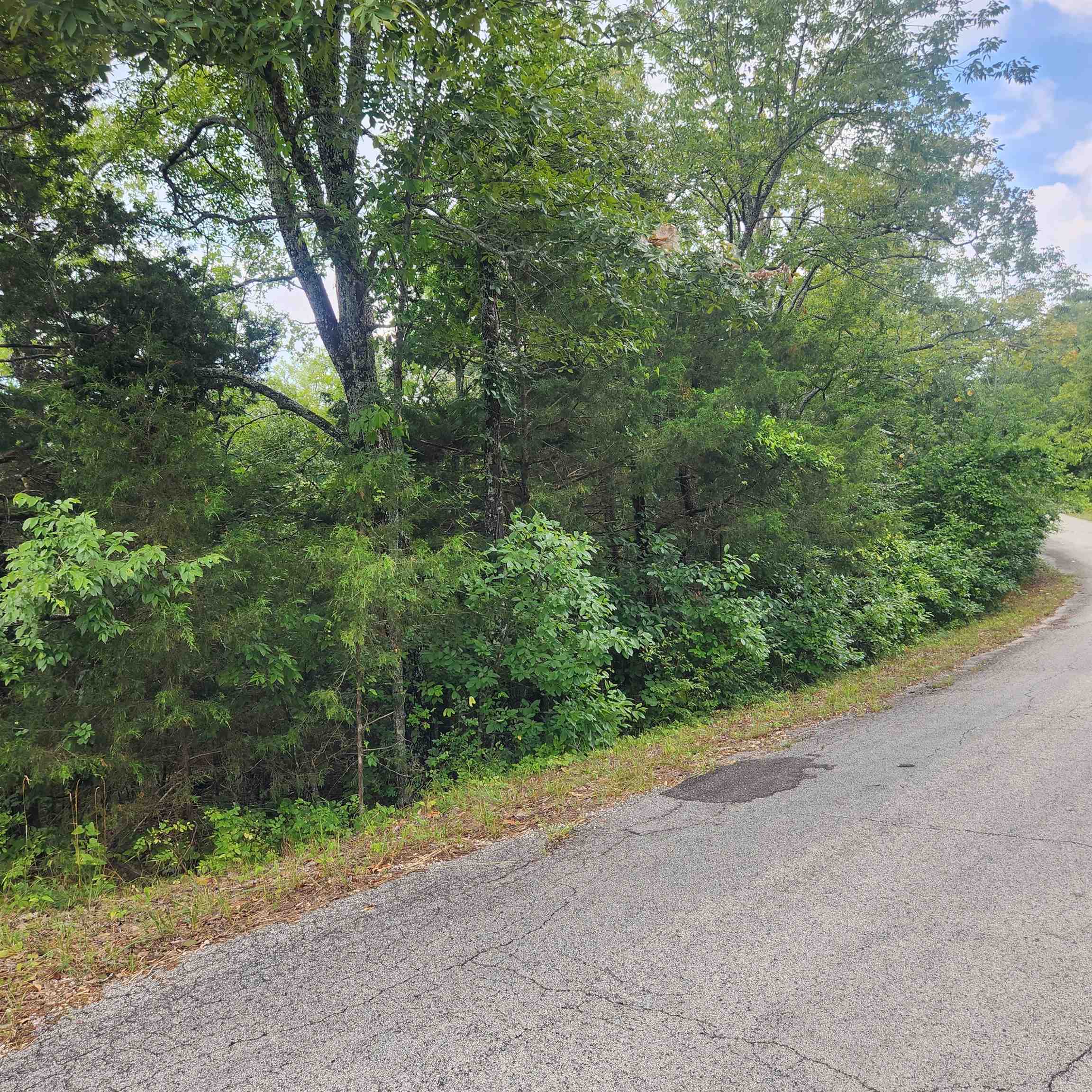 Photo 10 - Vacant Land for sale – L-22, B-4  Topez   Cherokee Village, AR