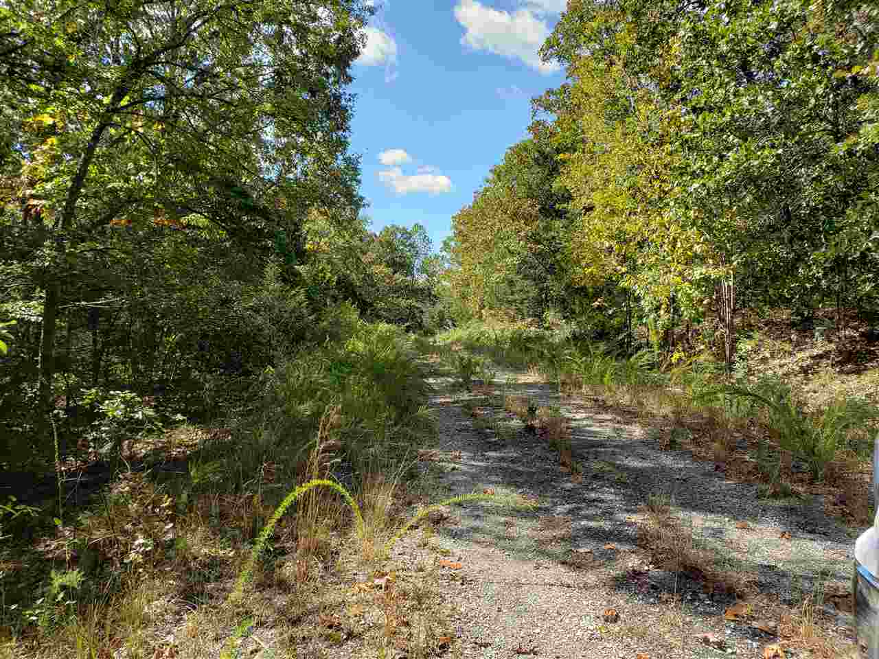 Photo 2 - Vacant Land for sale – L-55 & 56 B-7  Lochloosa   Cherokee Village, AR