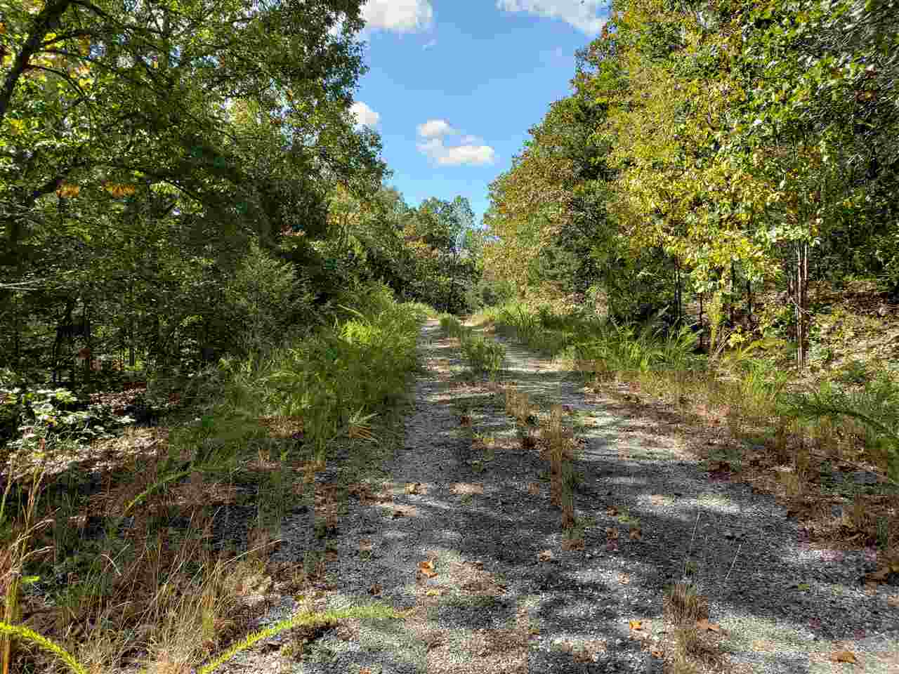 Photo 3 - Vacant Land for sale – L-55 & 56 B-7  Lochloosa   Cherokee Village, AR