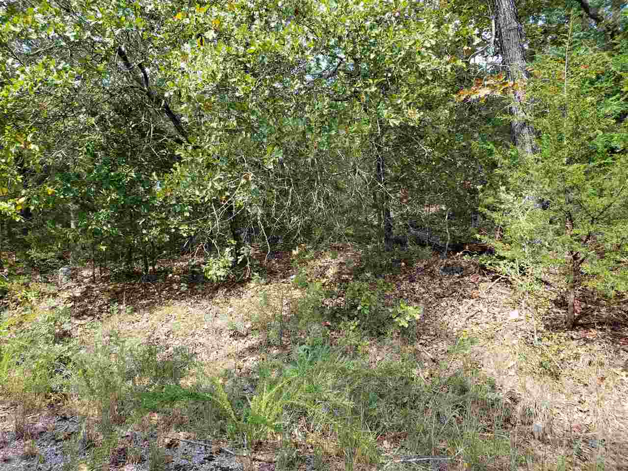 Photo 4 - Vacant Land for sale – L-55 & 56 B-7  Lochloosa   Cherokee Village, AR