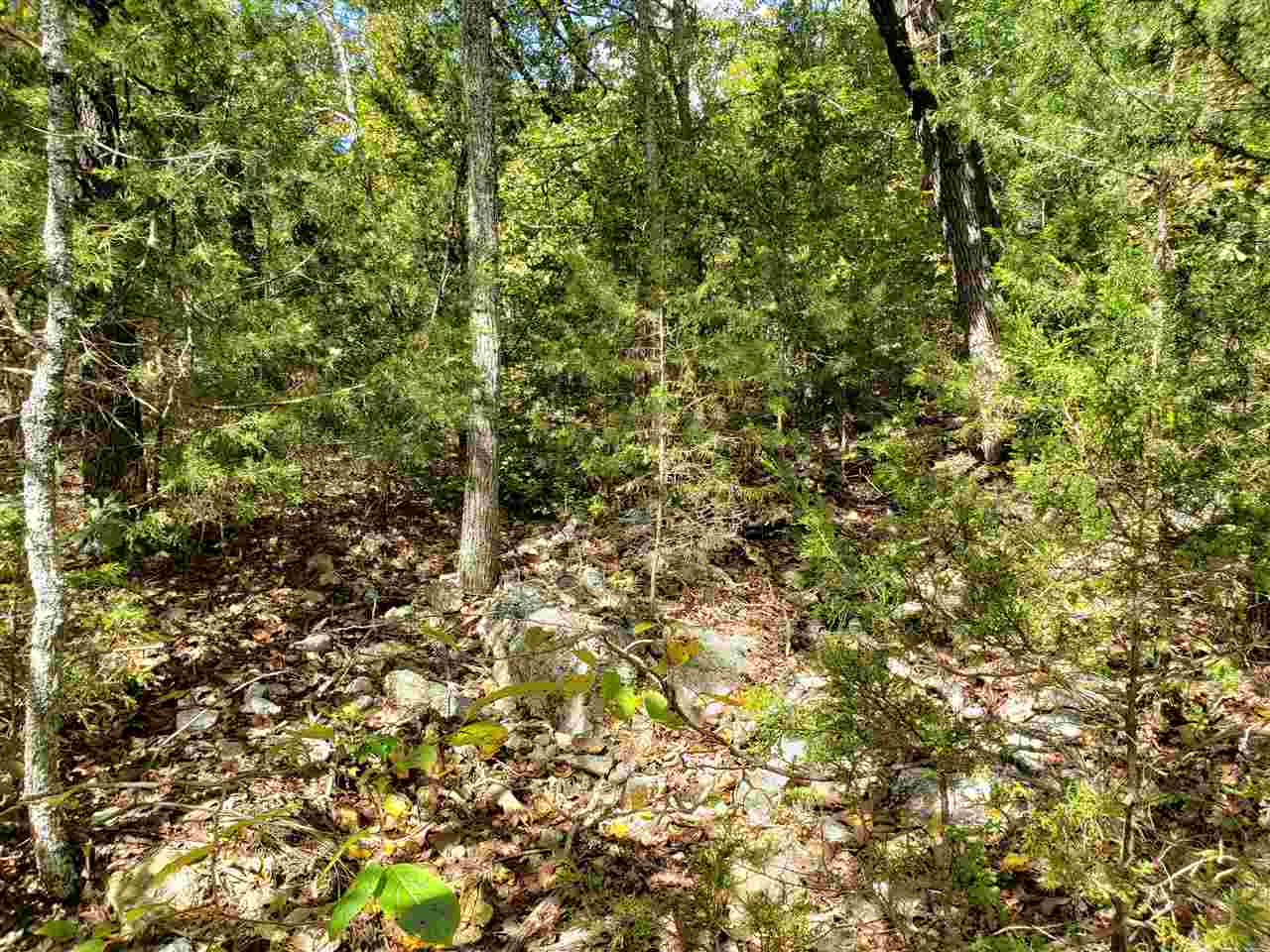 Photo 5 - Vacant Land for sale – L-55 & 56 B-7  Lochloosa   Cherokee Village, AR