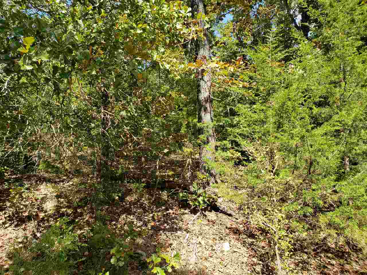 Photo 6 - Vacant Land for sale – L-55 & 56 B-7  Lochloosa   Cherokee Village, AR