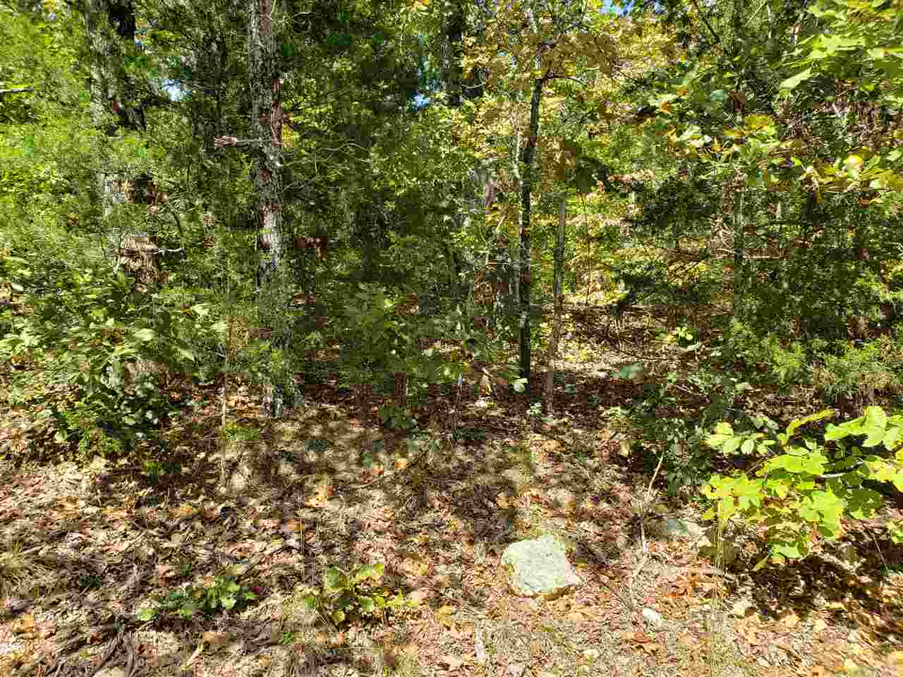 Photo 7 - Vacant Land for sale – L-55 & 56 B-7  Lochloosa   Cherokee Village, AR