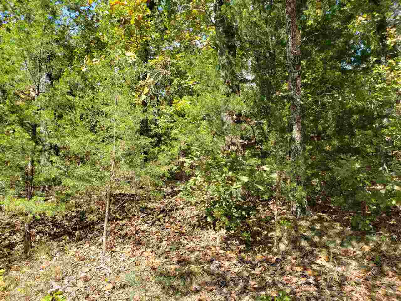 Photo 8 - Vacant Land for sale – L-55 & 56 B-7  Lochloosa   Cherokee Village, AR