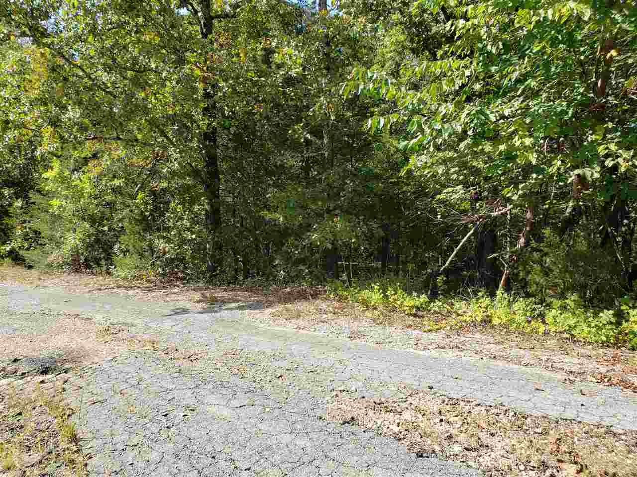 Photo 2 - Vacant Land for sale –   Pahokee   Cherokee Village, AR