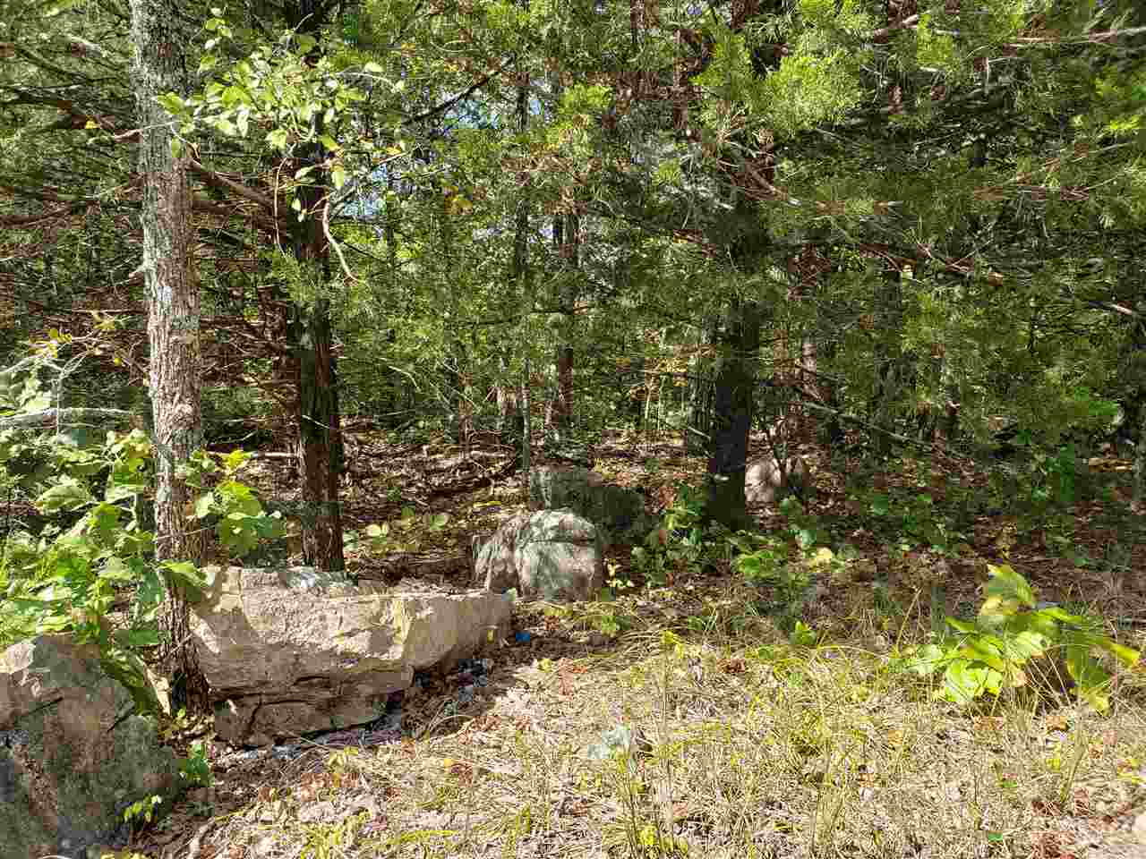 Photo 11 - Vacant Land for sale –   Pahokee   Cherokee Village, AR
