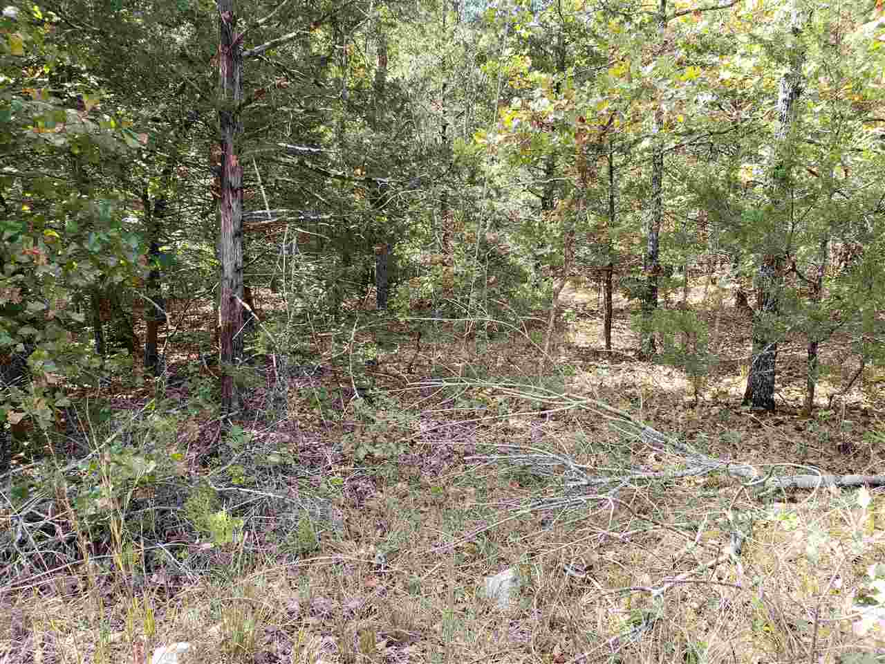 Photo 13 - Vacant Land for sale –   Pahokee   Cherokee Village, AR