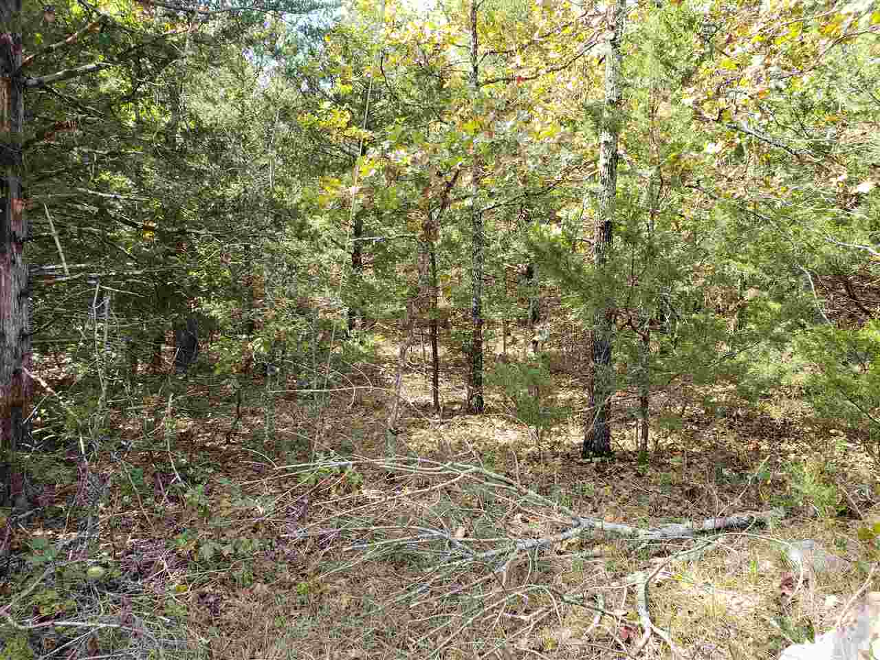 Photo 14 - Vacant Land for sale –   Pahokee   Cherokee Village, AR