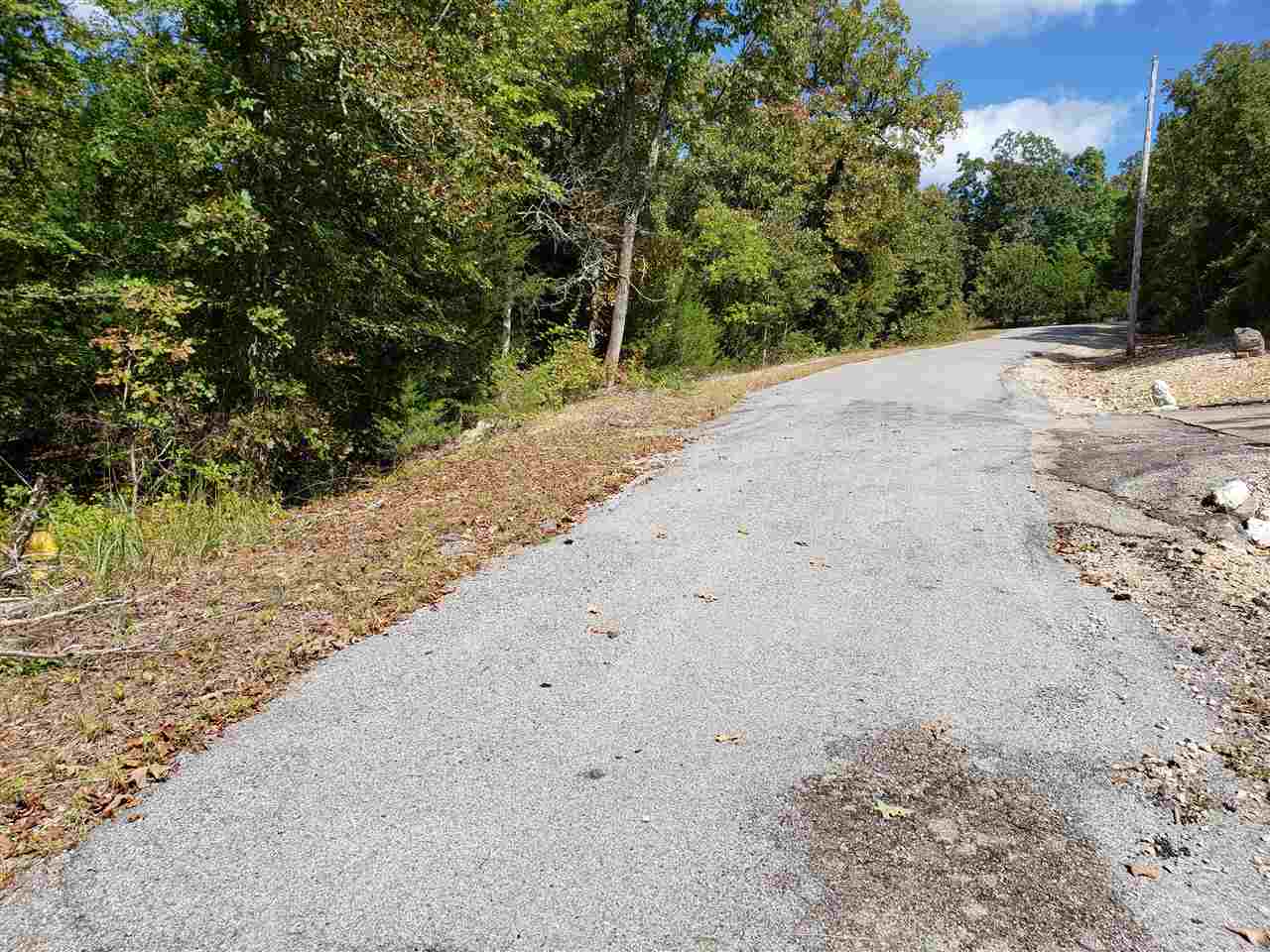 Photo 3 - Vacant Land for sale –   Pahokee   Cherokee Village, AR