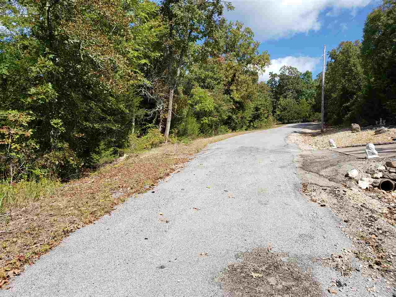 Photo 4 - Vacant Land for sale –   Pahokee   Cherokee Village, AR