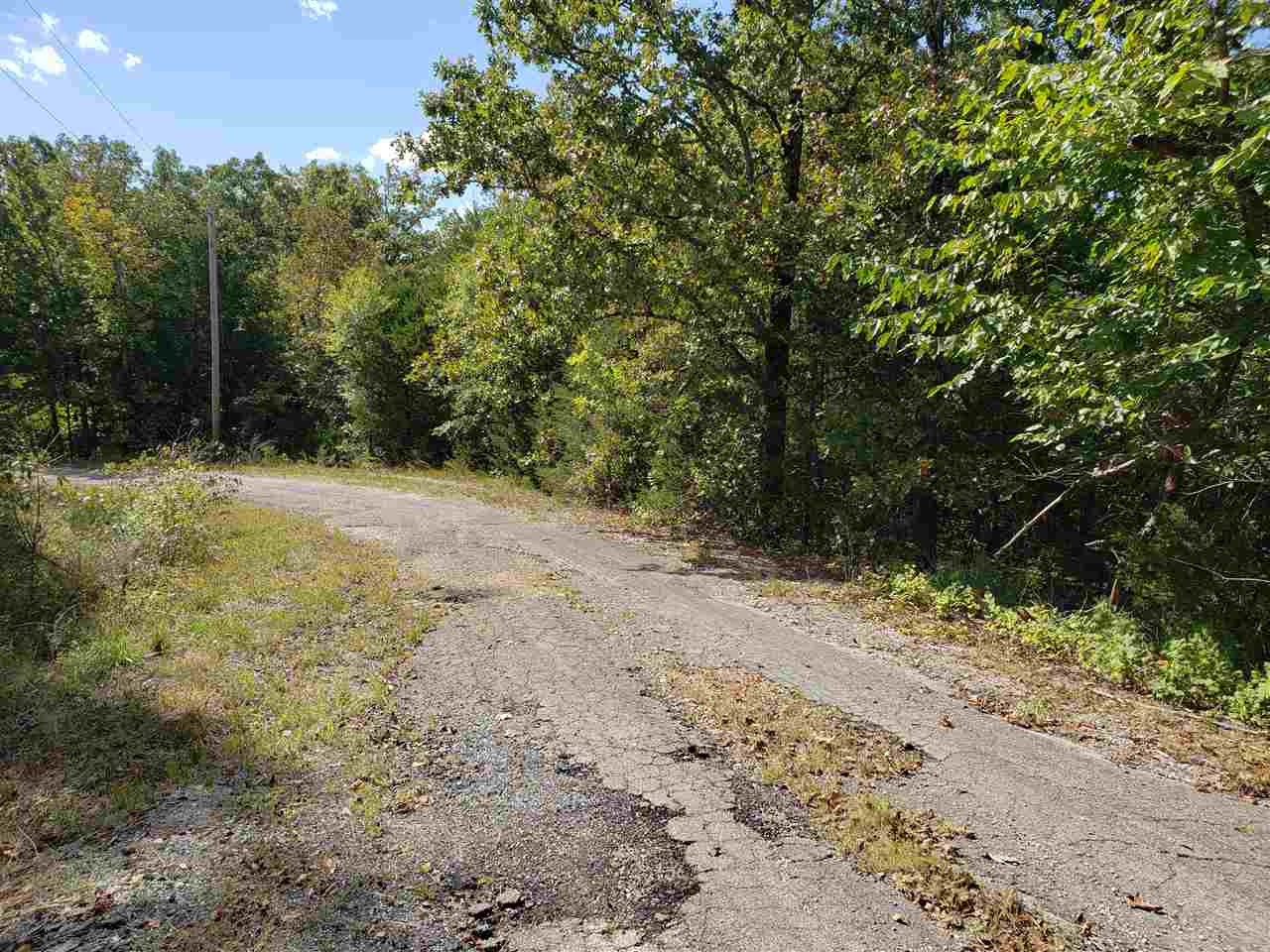 Photo 5 - Vacant Land for sale –   Pahokee   Cherokee Village, AR