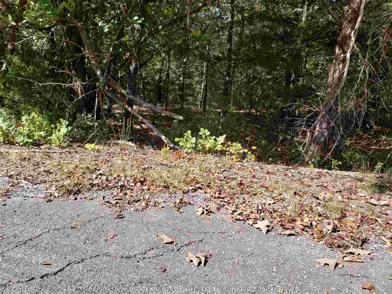Photo 6 - Vacant Land for sale –   Pahokee   Cherokee Village, AR