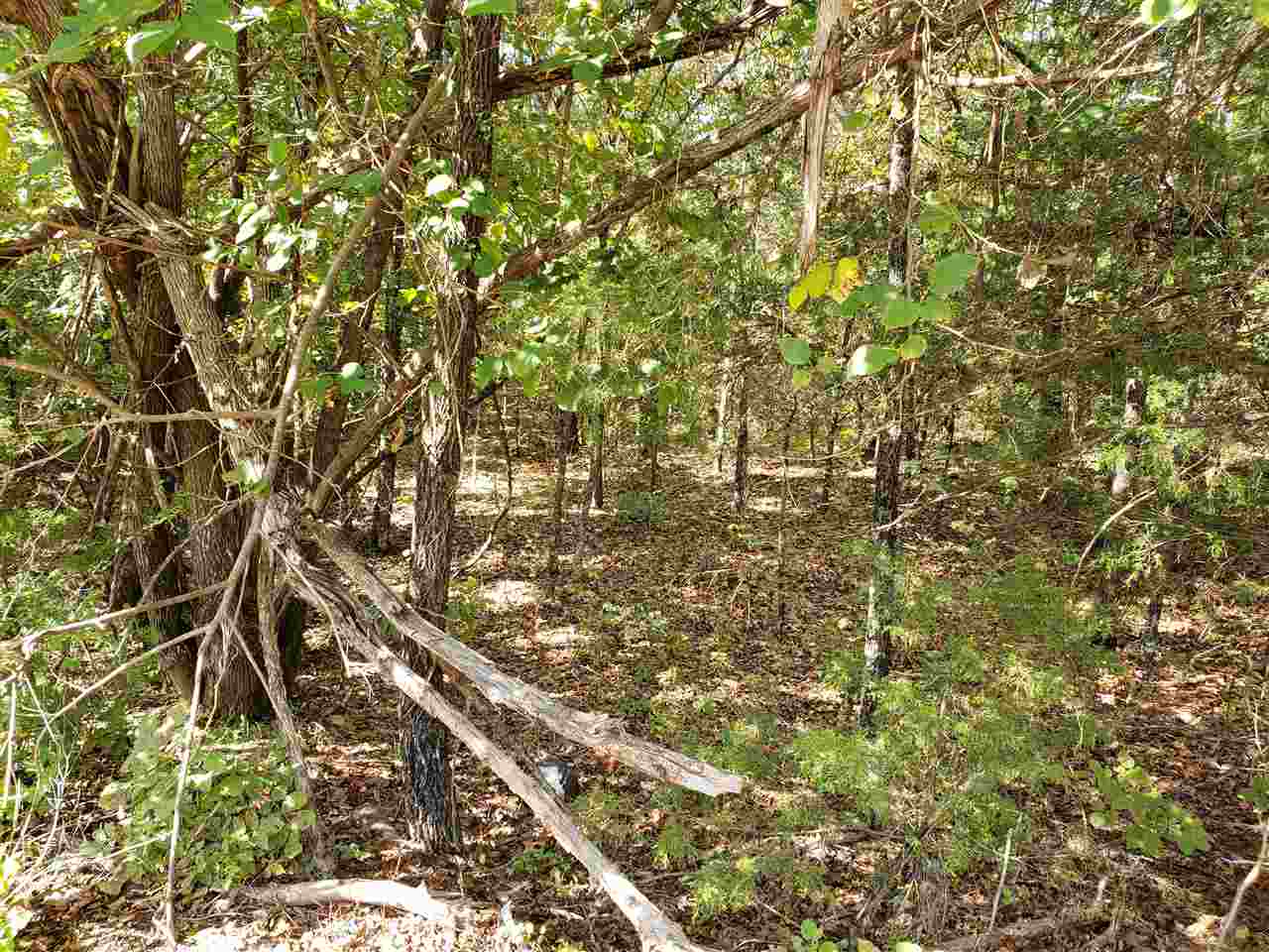 Photo 7 - Vacant Land for sale –   Pahokee   Cherokee Village, AR