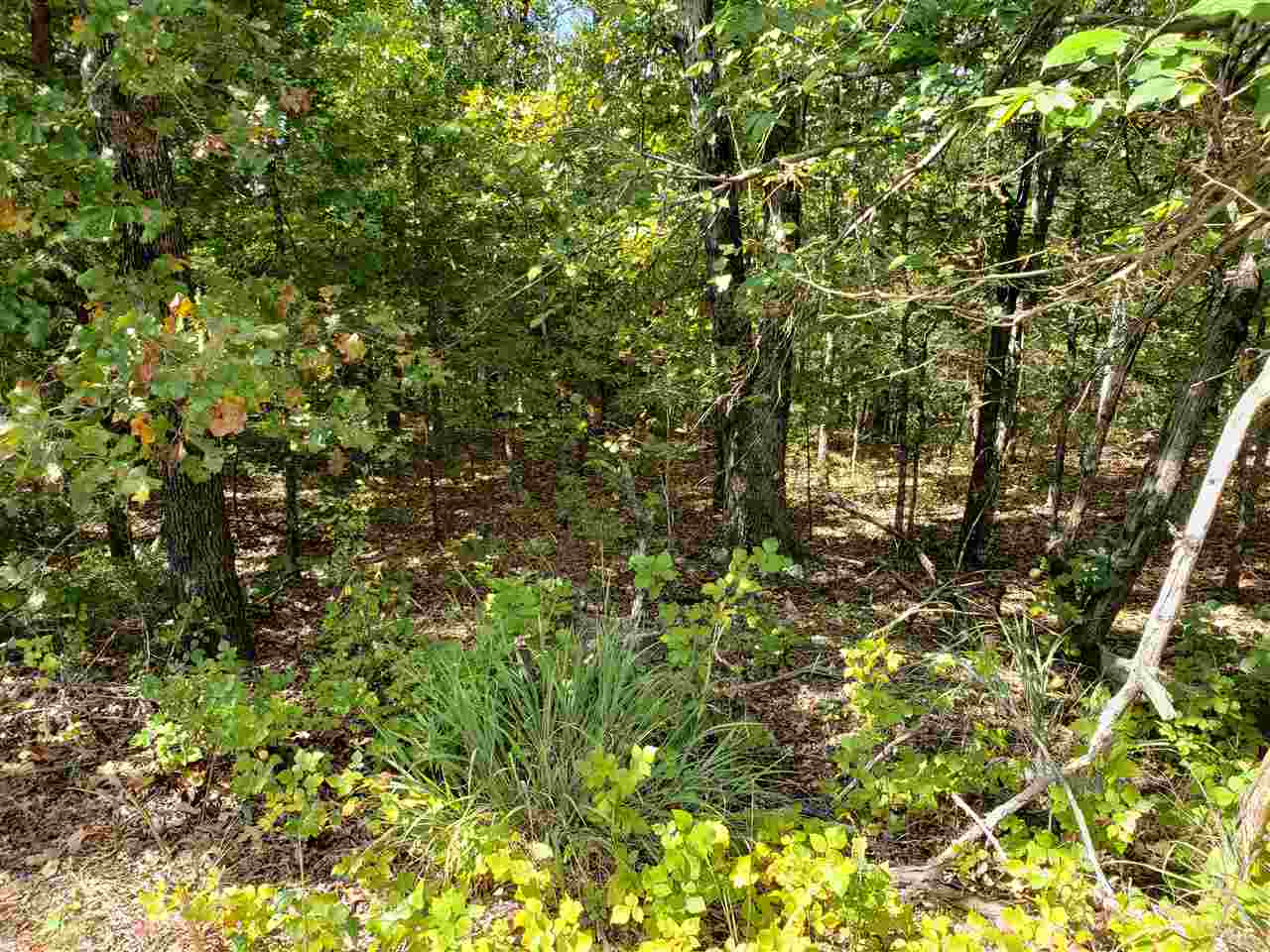 Photo 8 - Vacant Land for sale –   Pahokee   Cherokee Village, AR
