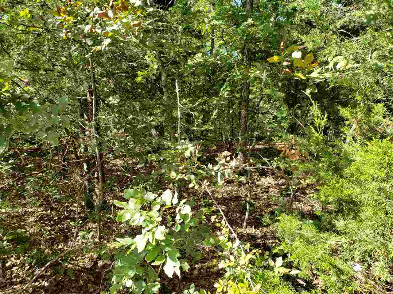Photo 9 - Vacant Land for sale –   Pahokee   Cherokee Village, AR
