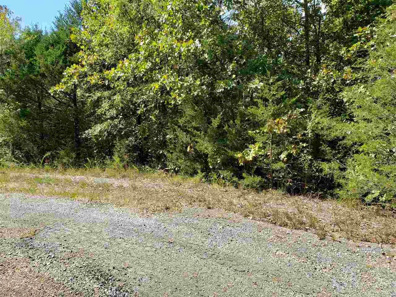 Photo 10 - Vacant Land for sale –   Pahokee   Cherokee Village, AR