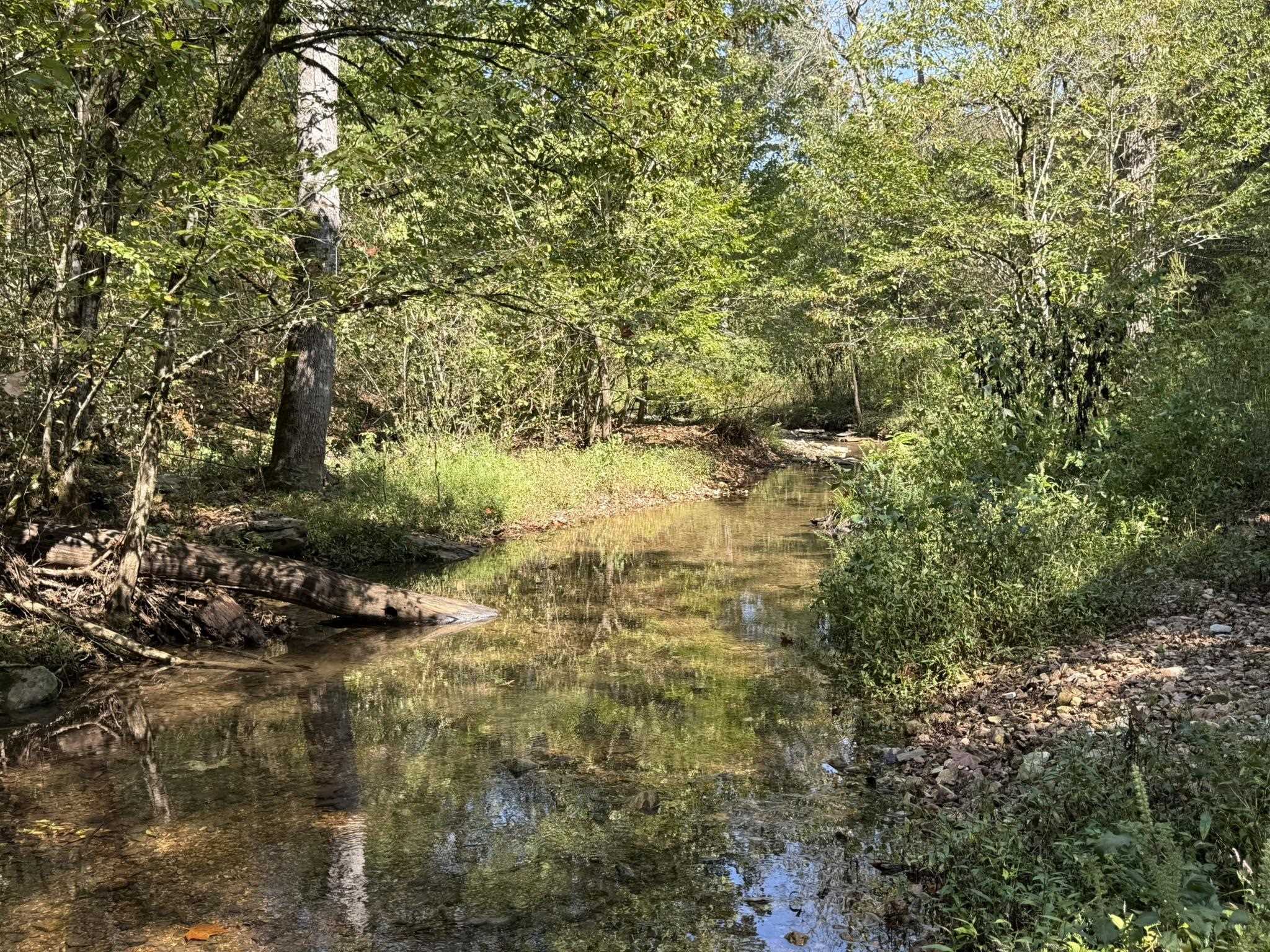 Vacant Land for sale – 122A  Williamson Trail   Guion, AR