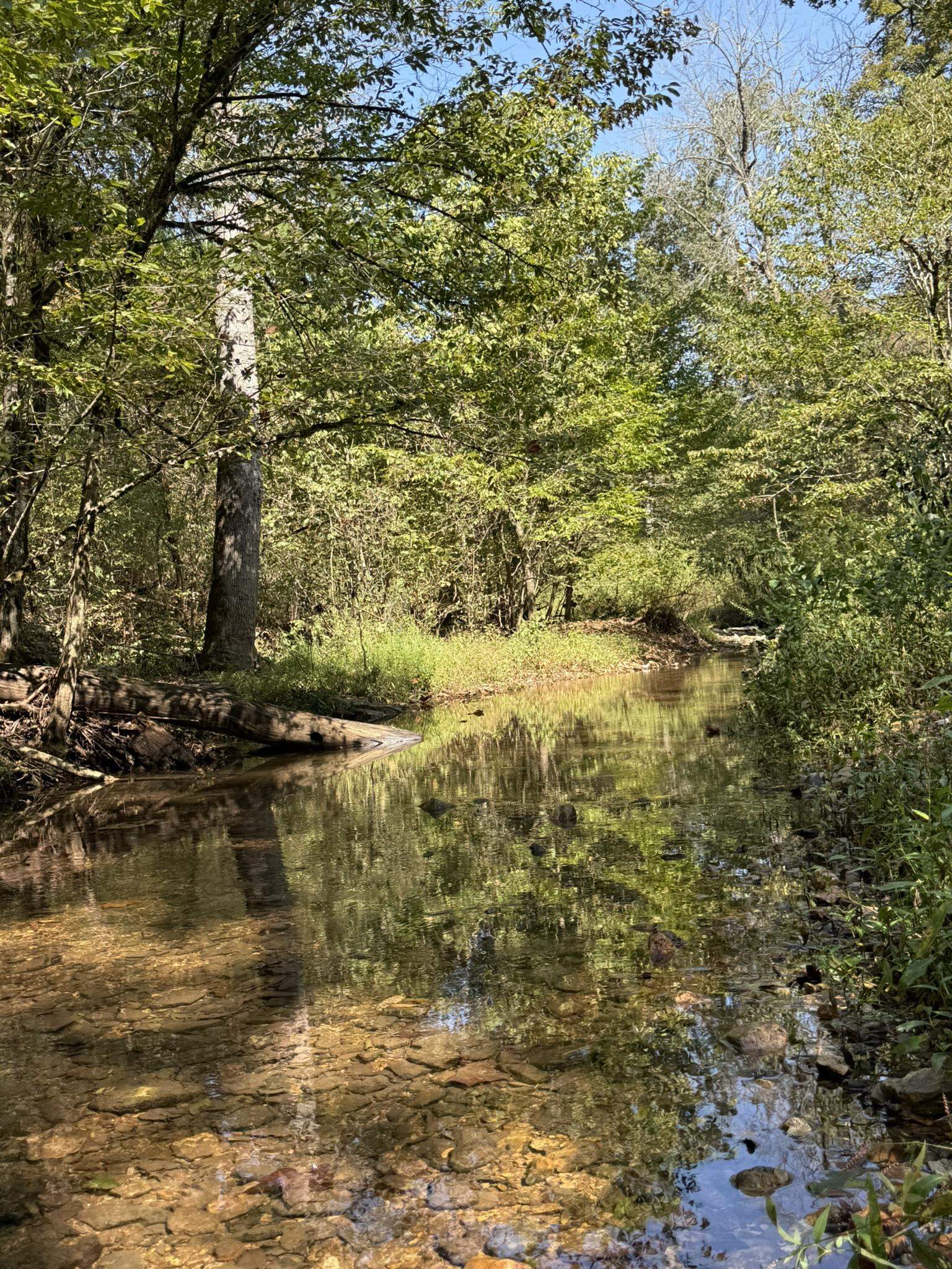 Photo 2 - Vacant Land for sale – 122A  Williamson Trail   Guion, AR